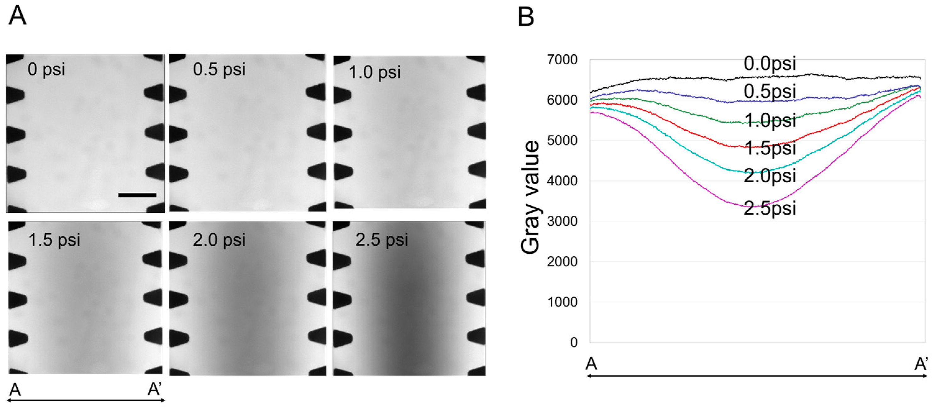 Applsci 10 02027 g002 Applsci 10 02027 g002
