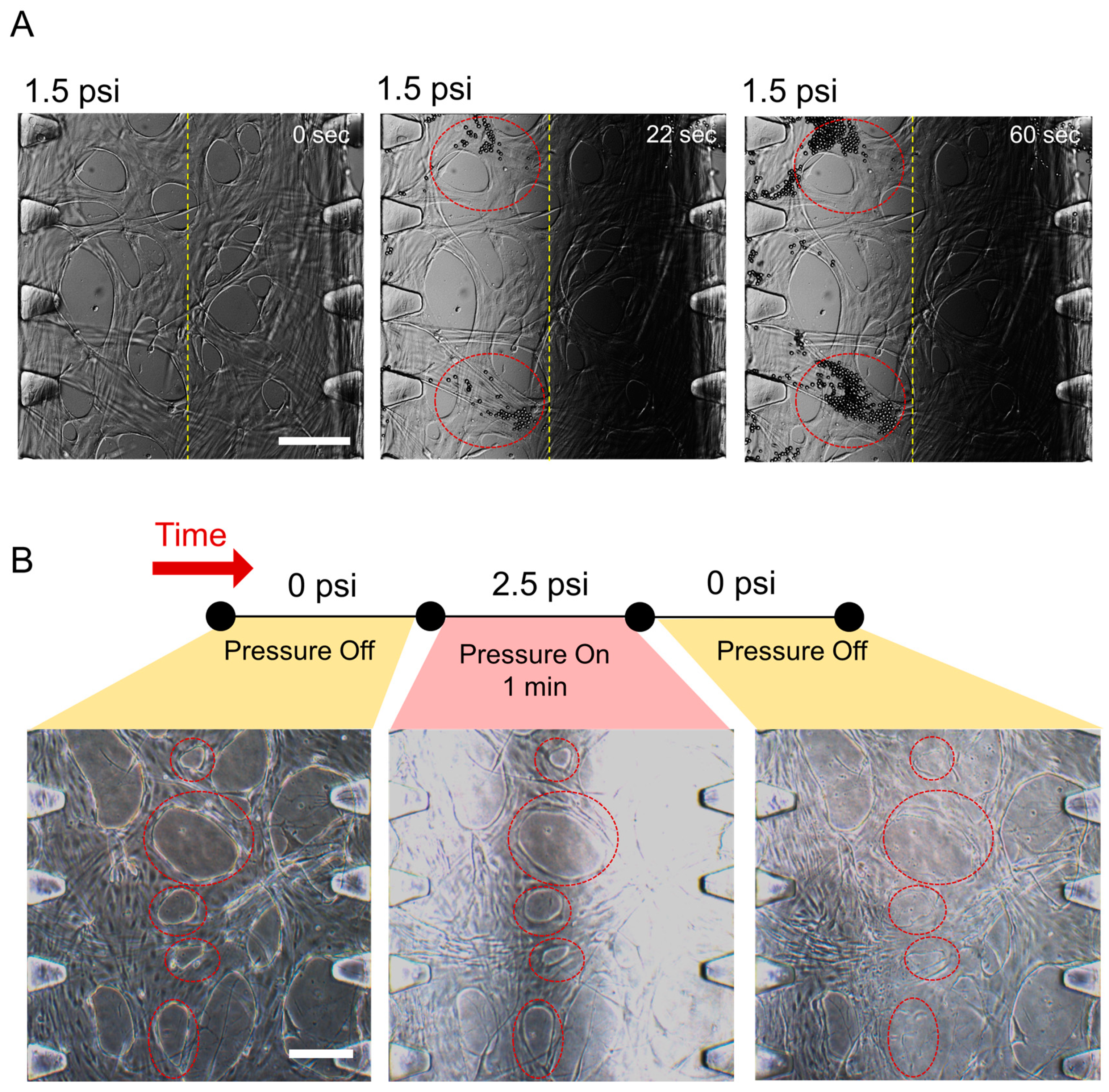 Applsci 10 02027 g004 Applsci 10 02027 g004