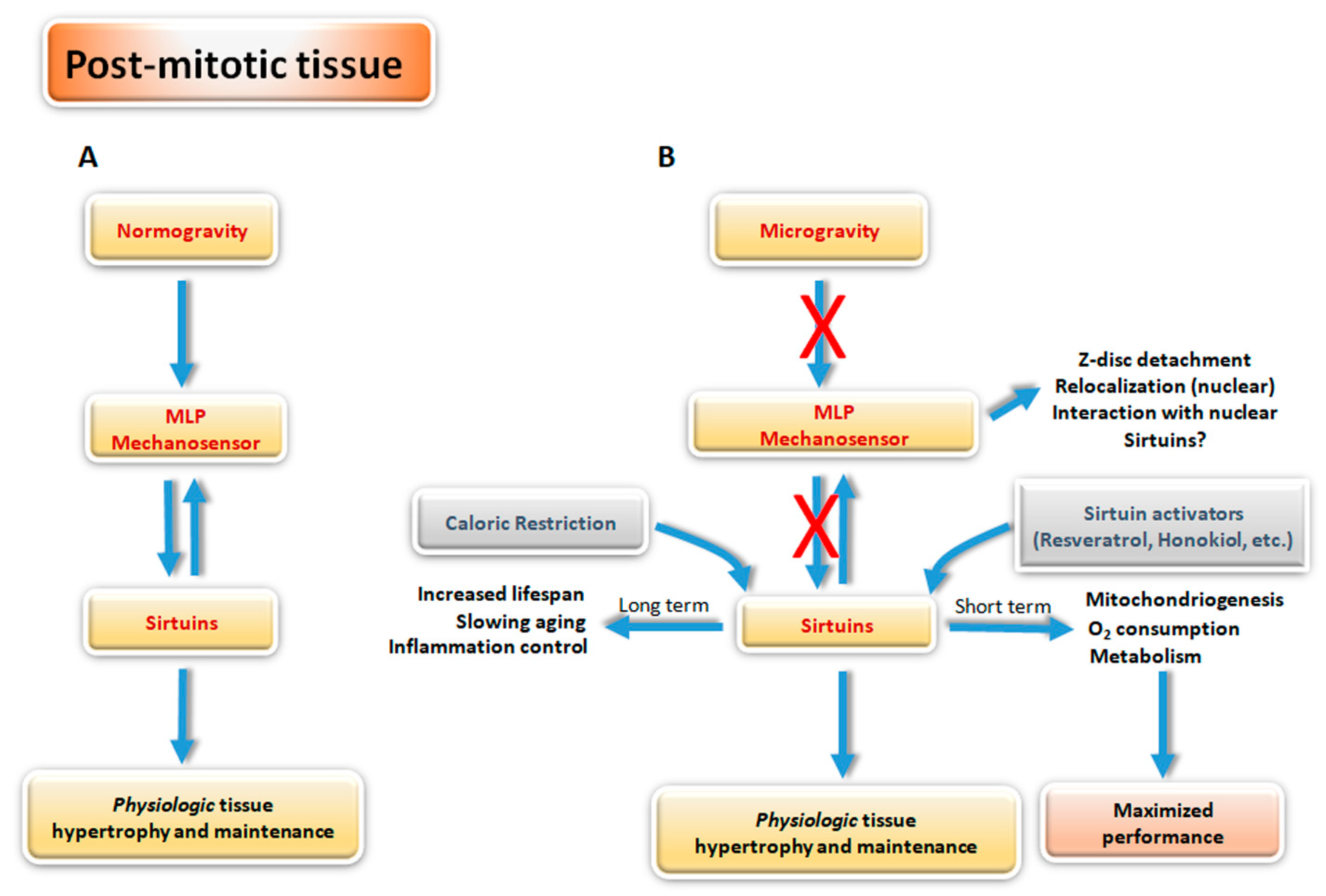 Applsci 10 02028 g002