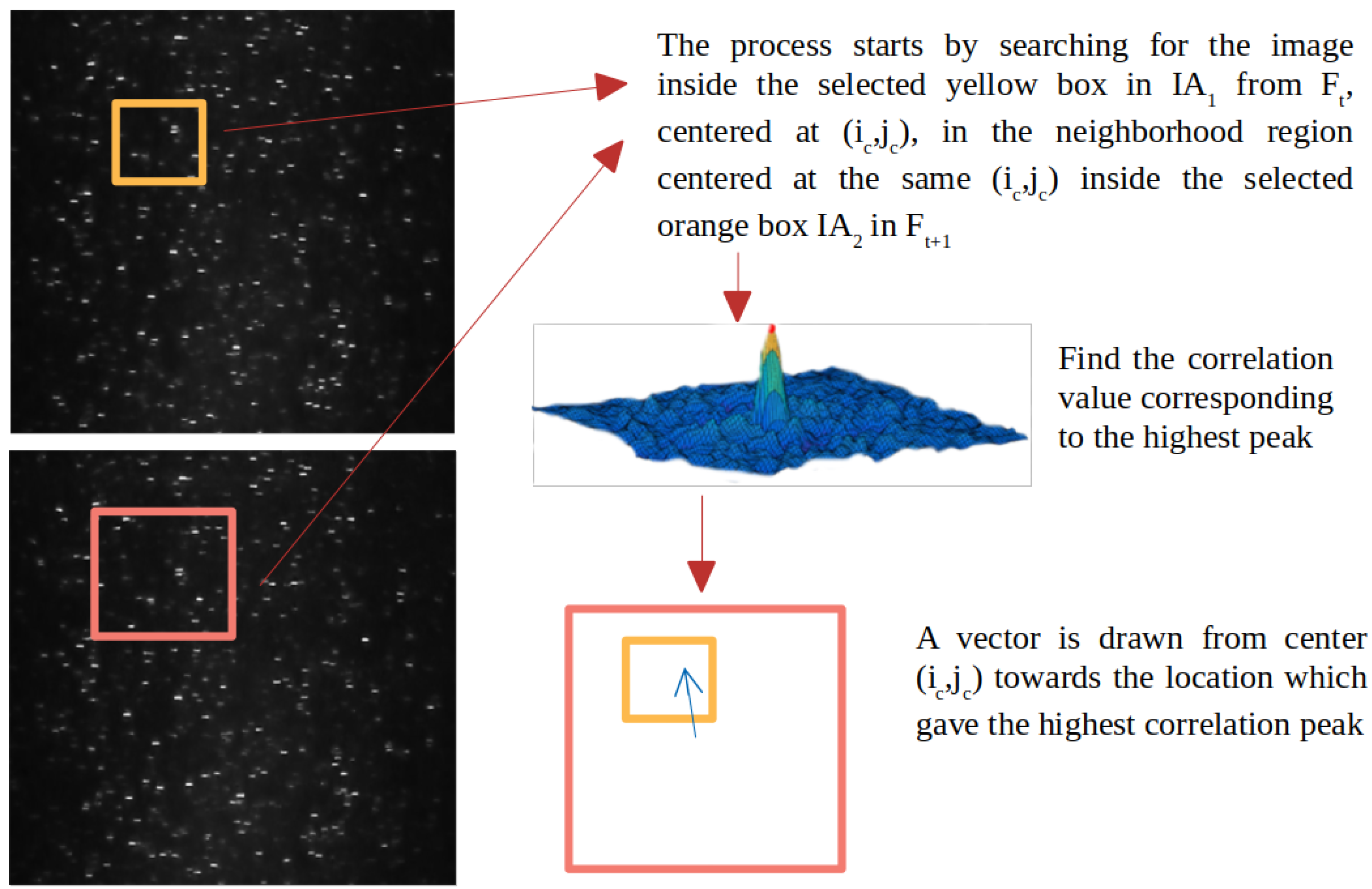 Application of Digital Particle Image Velocimetry to Insect Motion ...