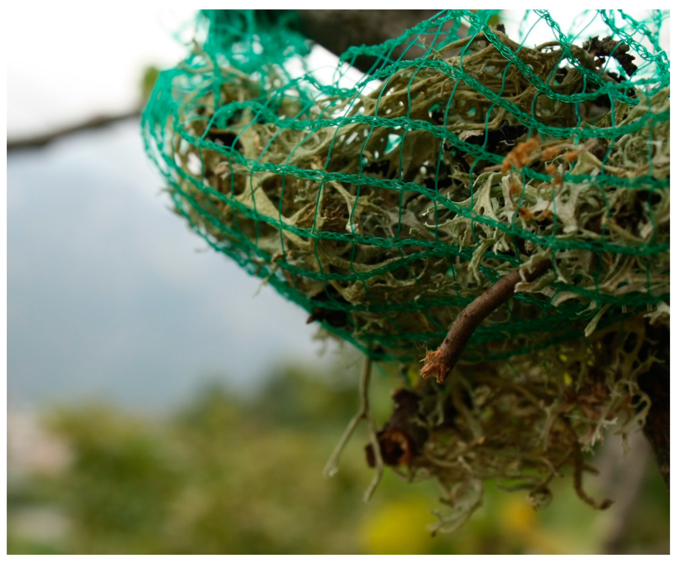 Applsci 10 02073 g001 Applsci 10 02073 g001