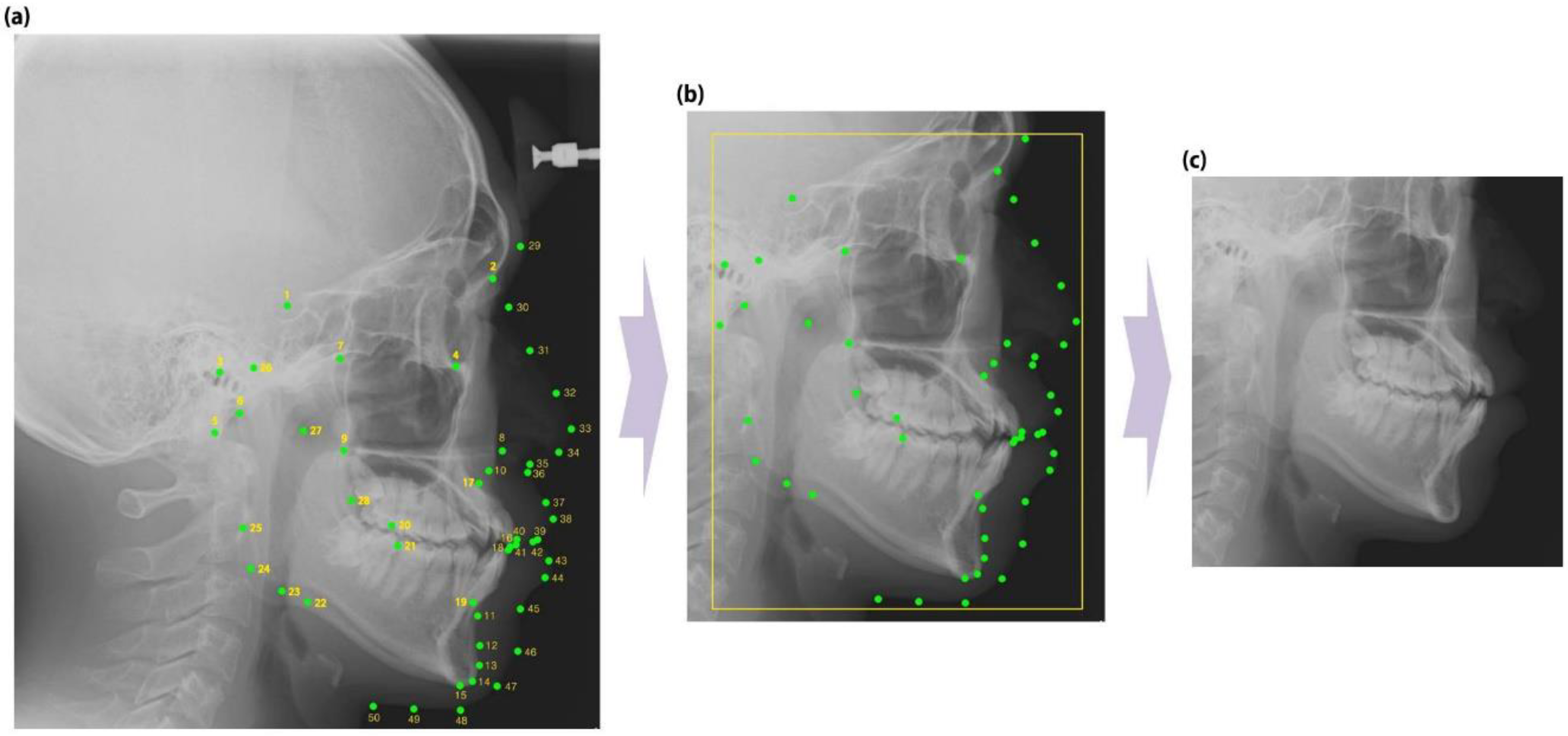 Applsci 10 02124 g001 Applsci 10 02124 g001