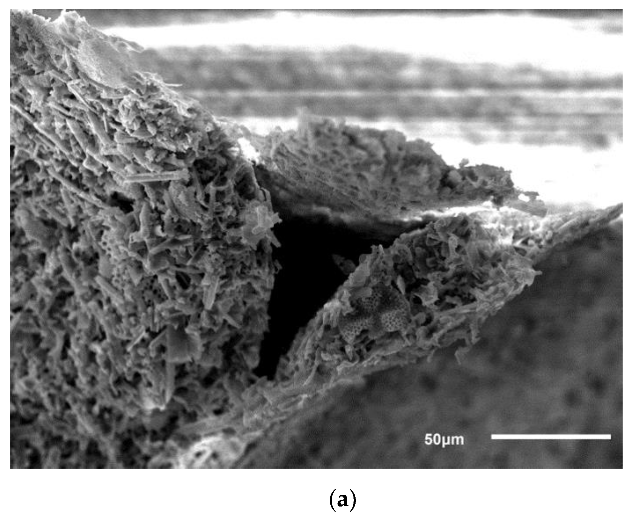 Applsci 10 02125 g004a