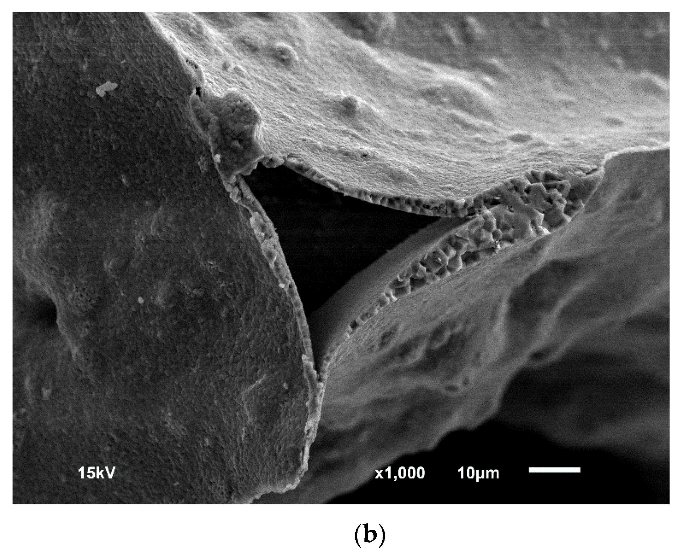 Applsci 10 02125 g004b