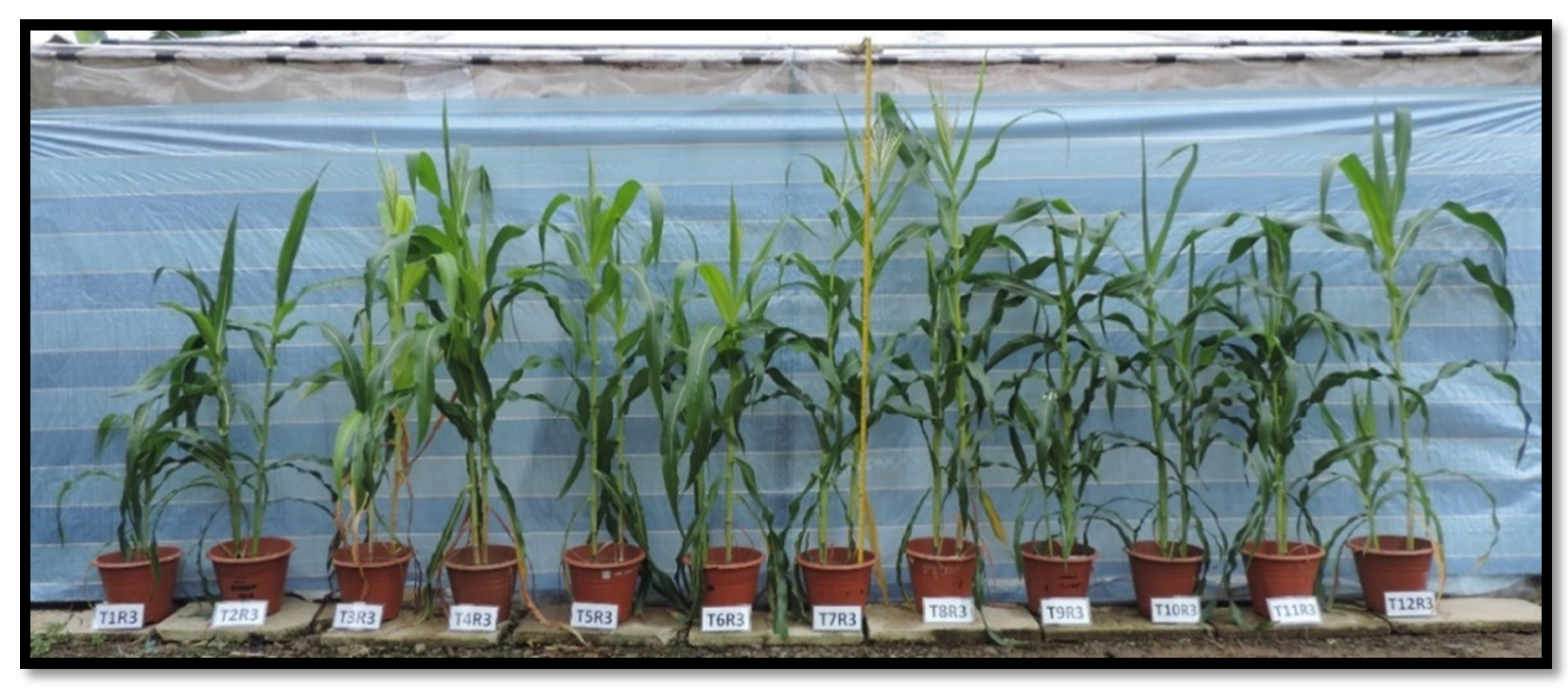 Applsci 10 02127 g002 Applsci 10 02127 g002