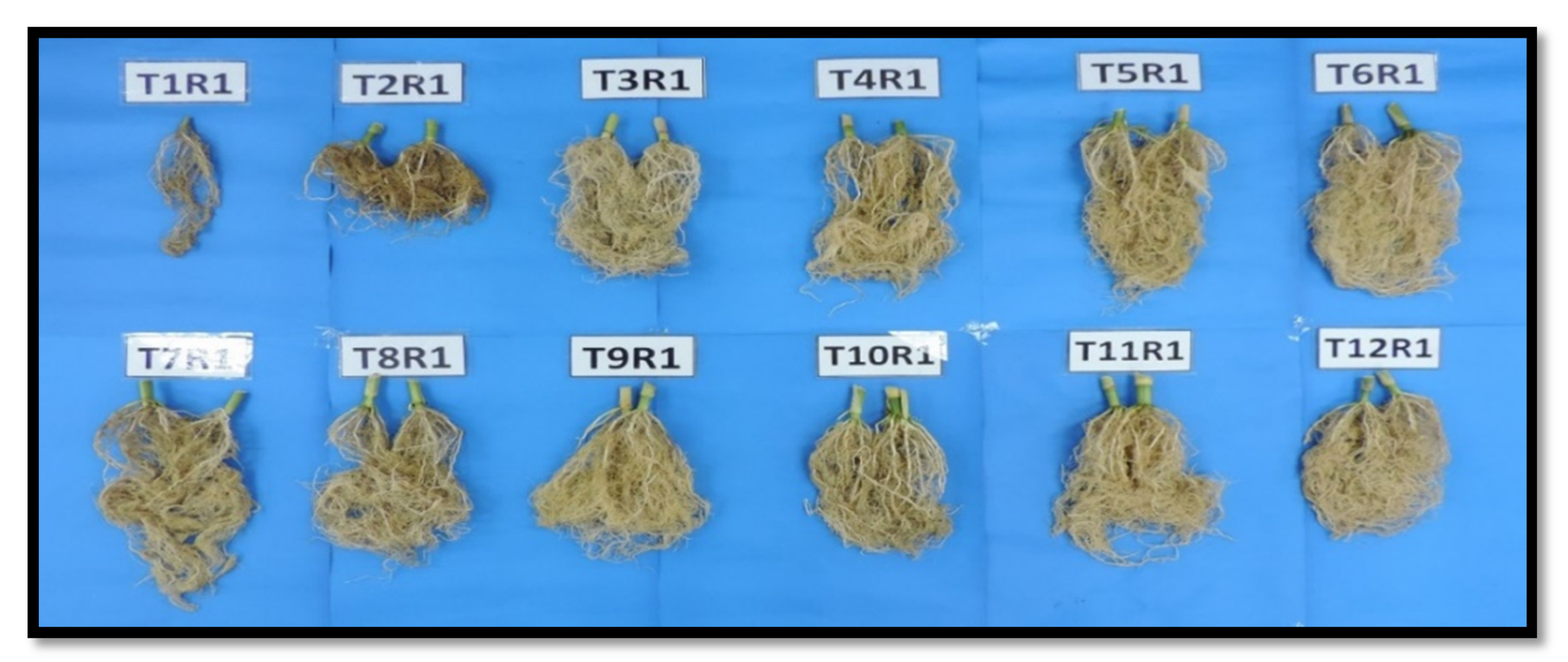 Applsci 10 02127 g003 Applsci 10 02127 g003