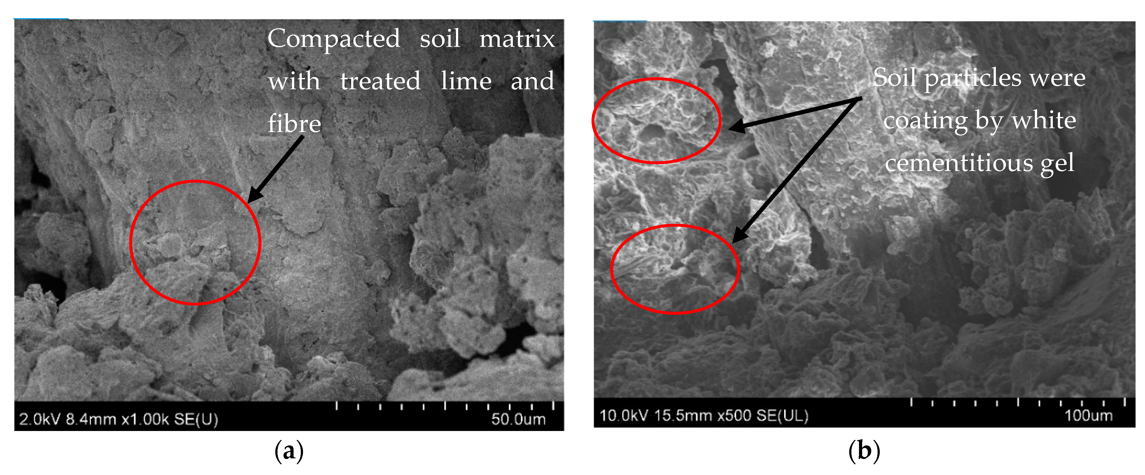 Applsci 10 02129 g007 Applsci 10 02129 g007