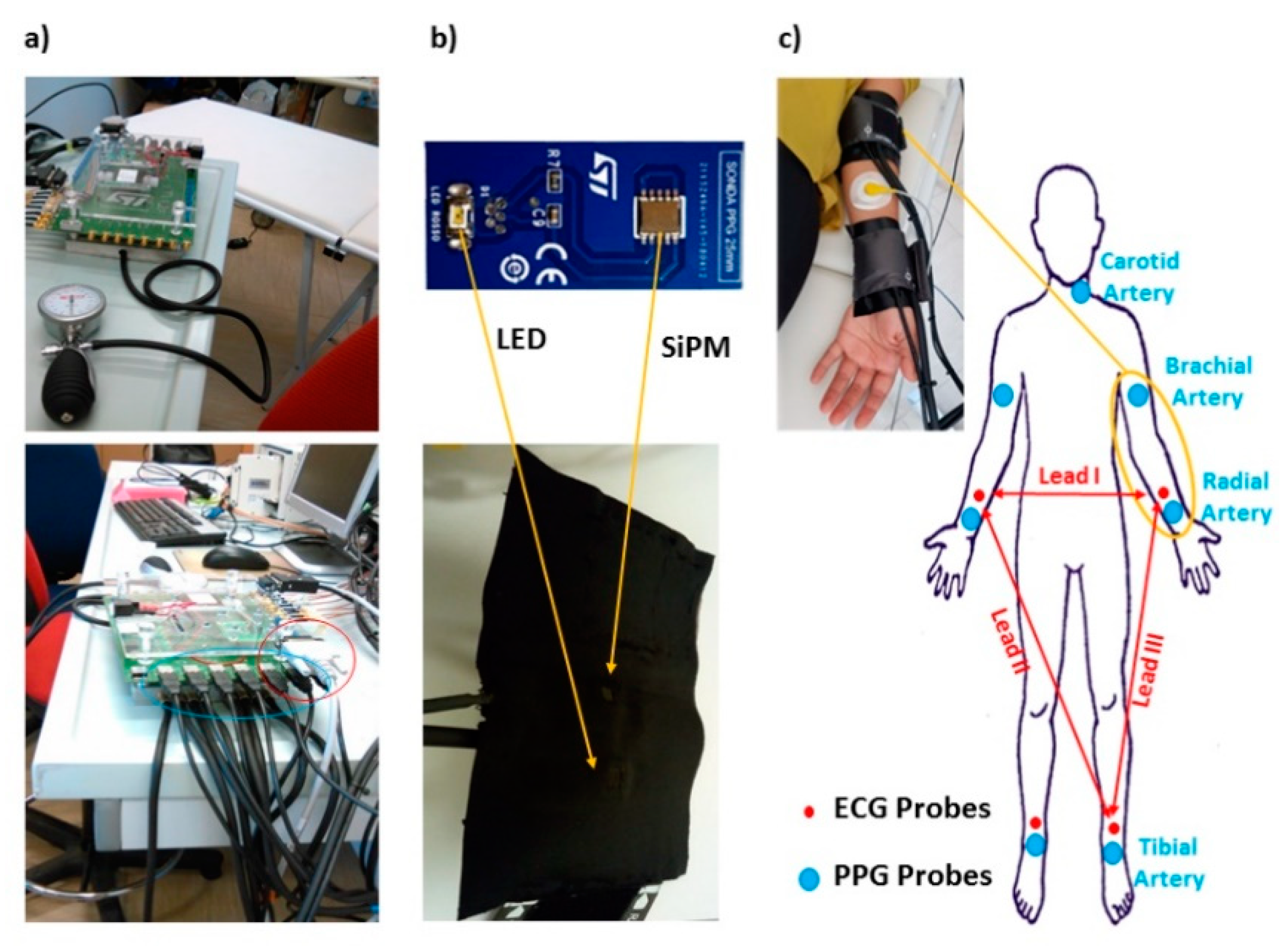 Applsci 10 02137 g002 Applsci 10 02137 g002