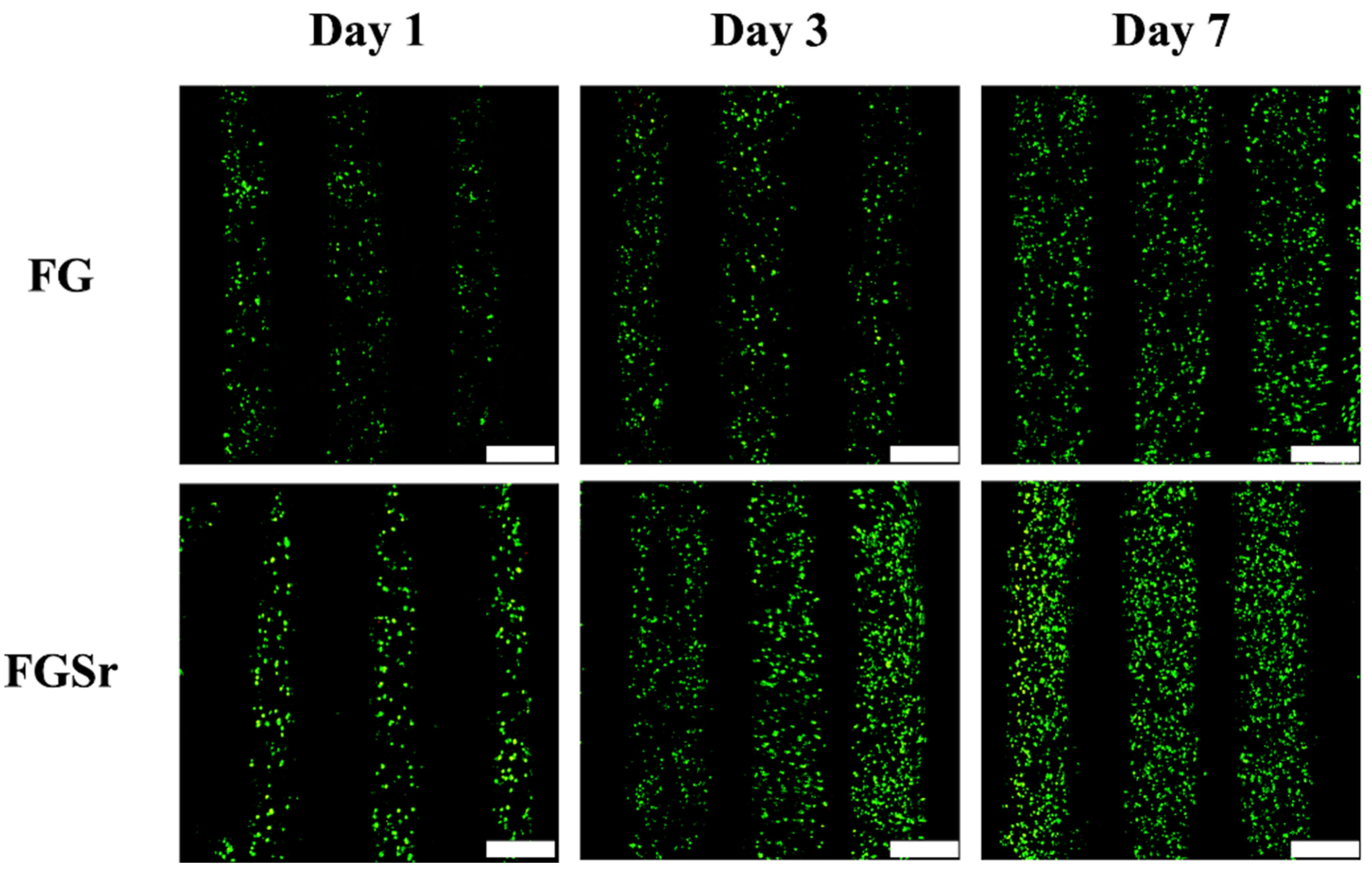Applsci 10 02168 g009