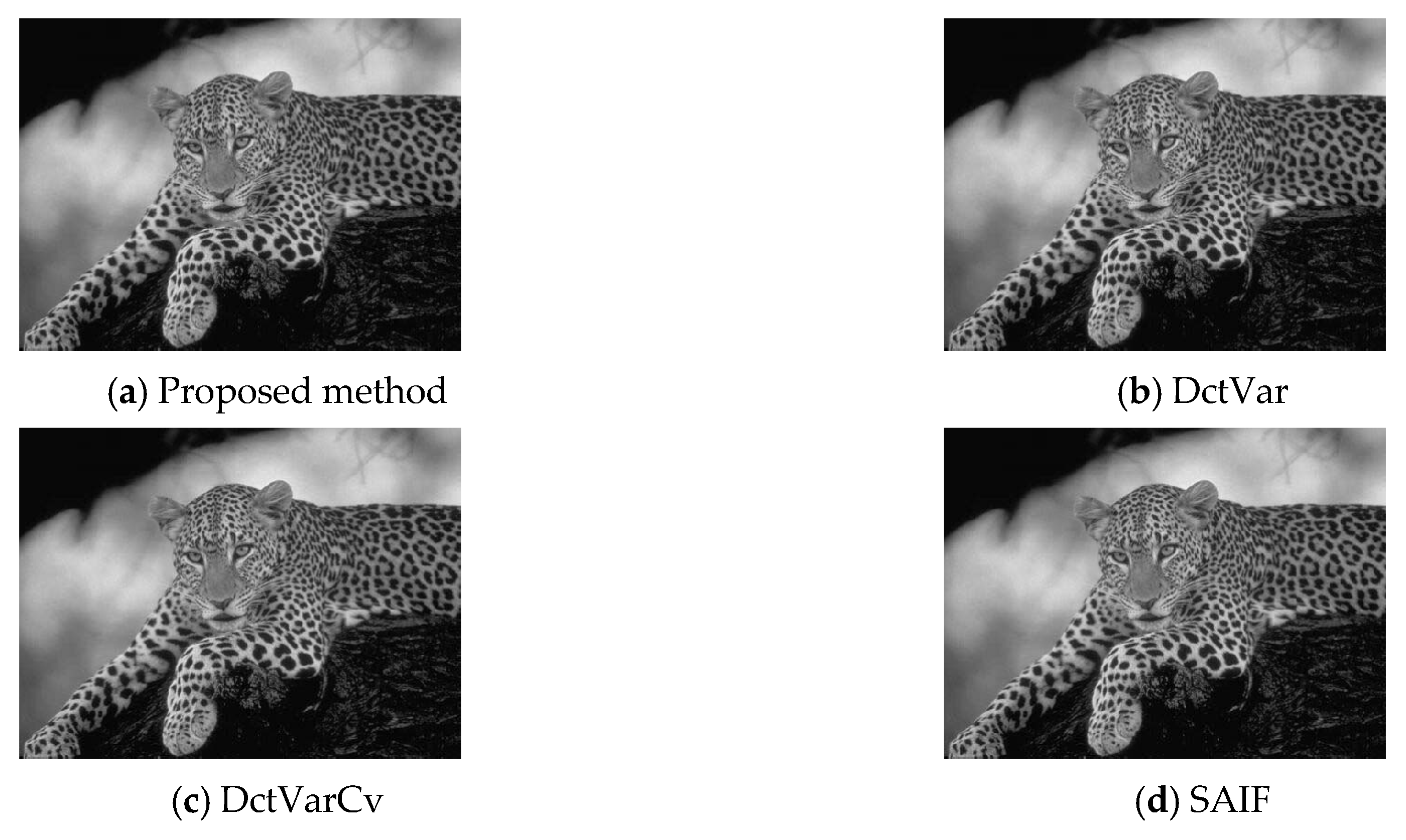 Applsci 10 02178 g013 Applsci 10 02178 g013