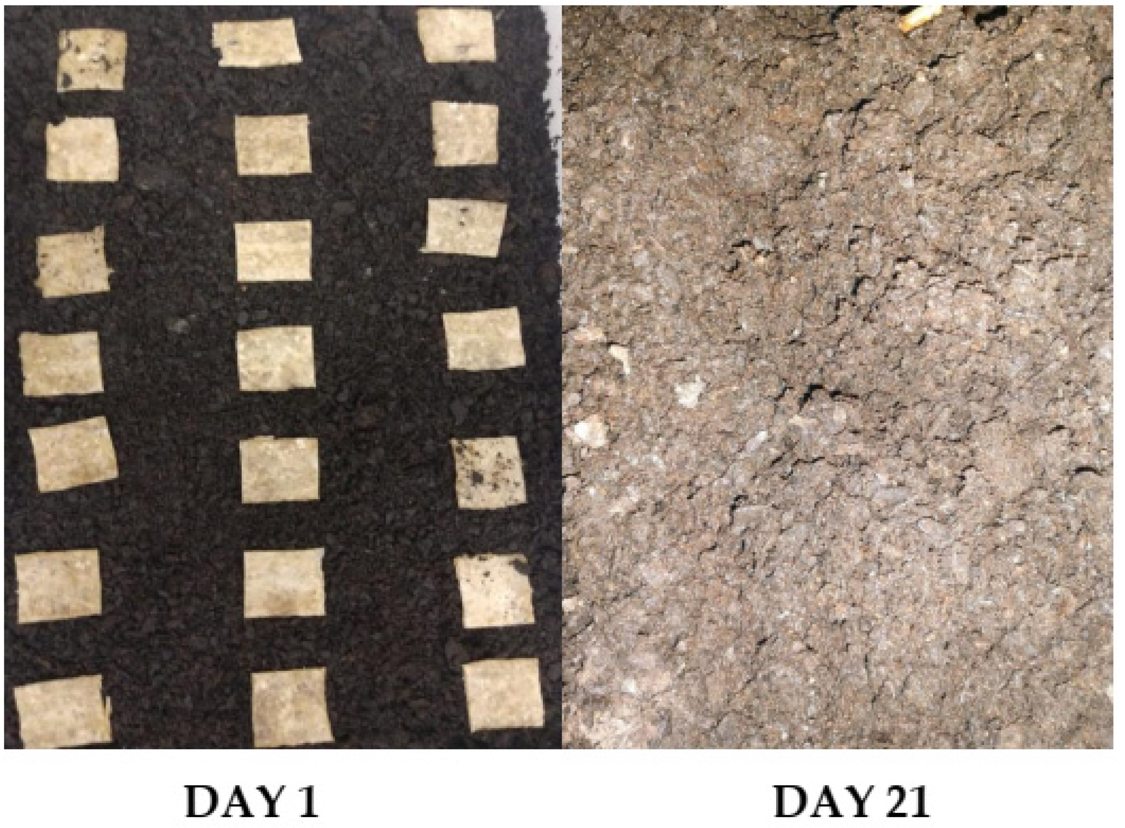 Applsci 10 02235 g001