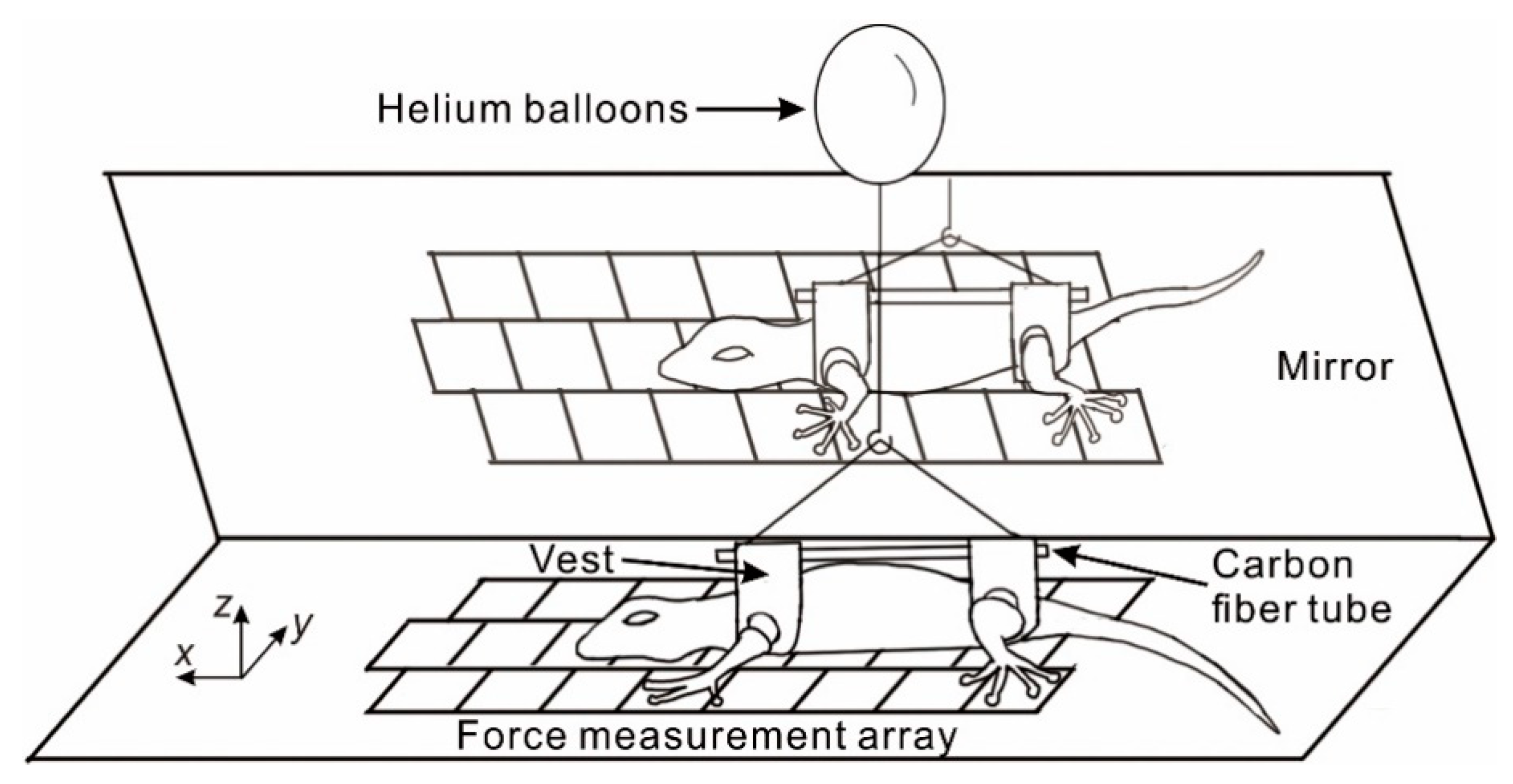 Applsci 10 02257 g001 Applsci 10 02257 g001