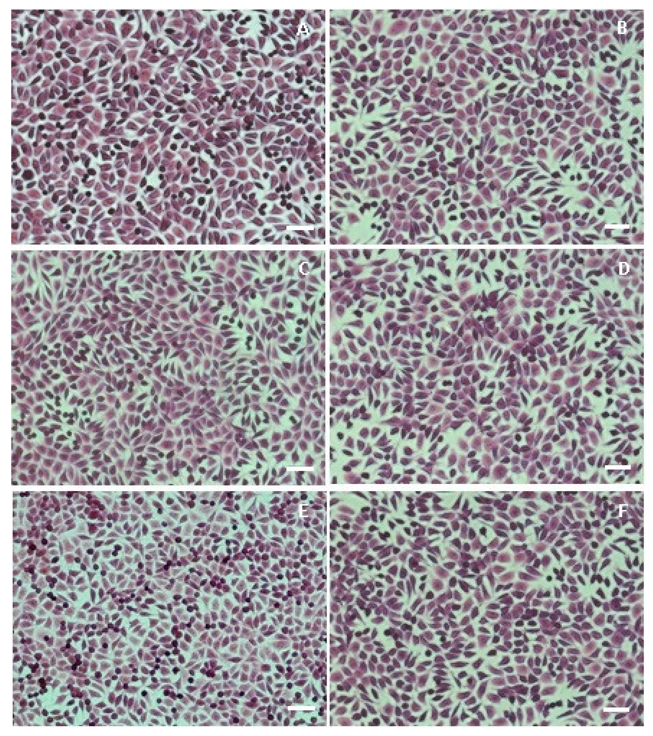 Applsci 10 02265 g008