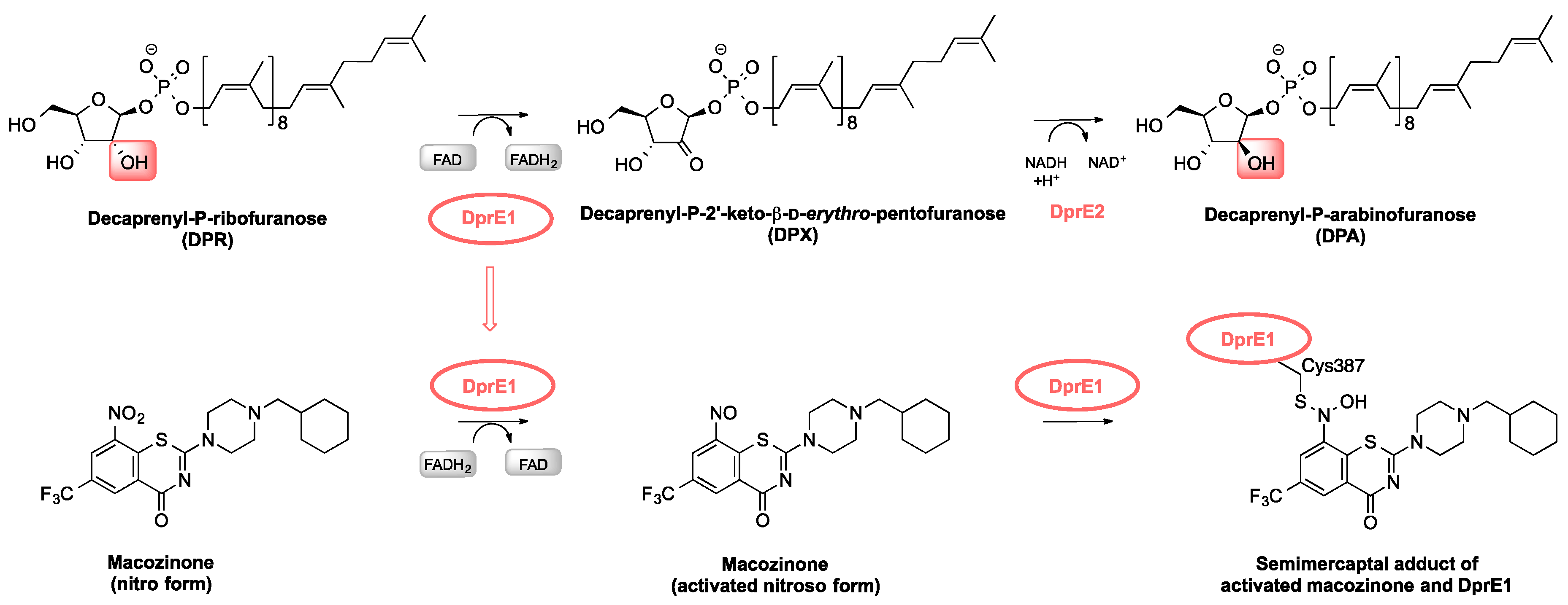 Applsci 10 02269 g002
