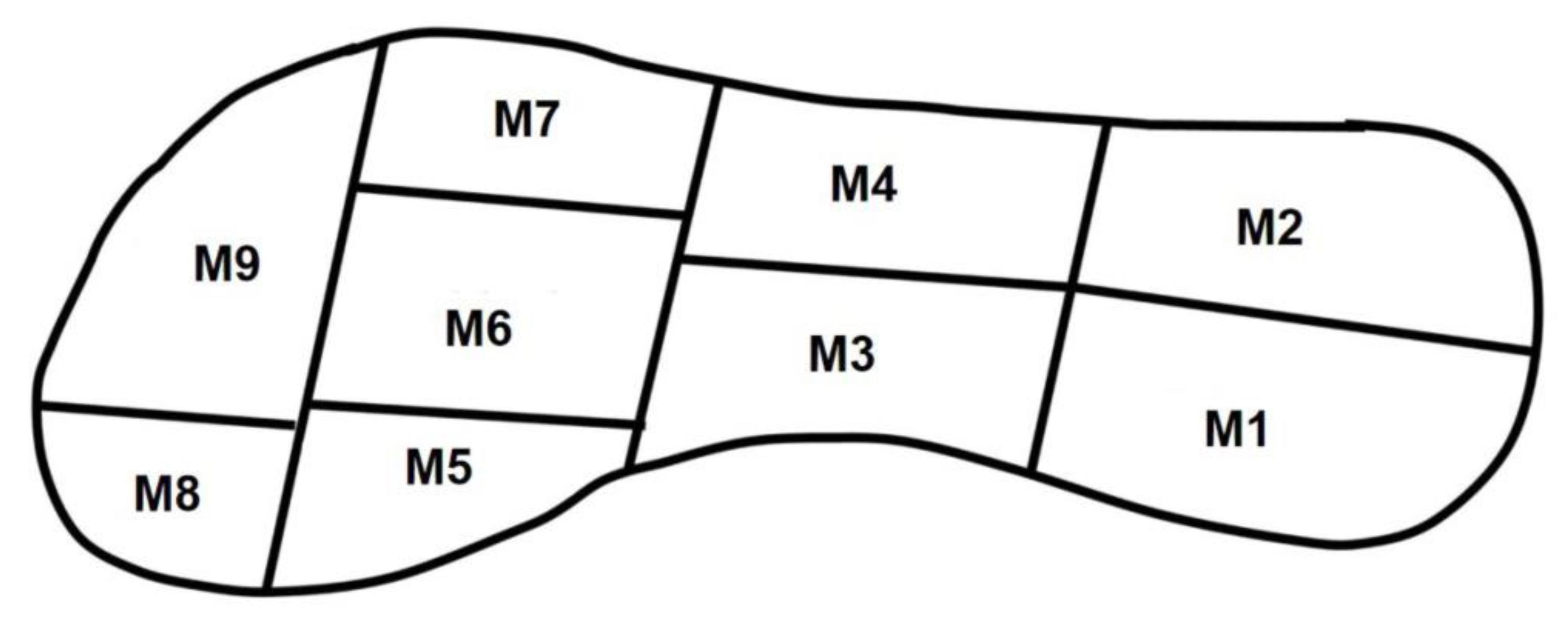 Applsci 10 02271 g001