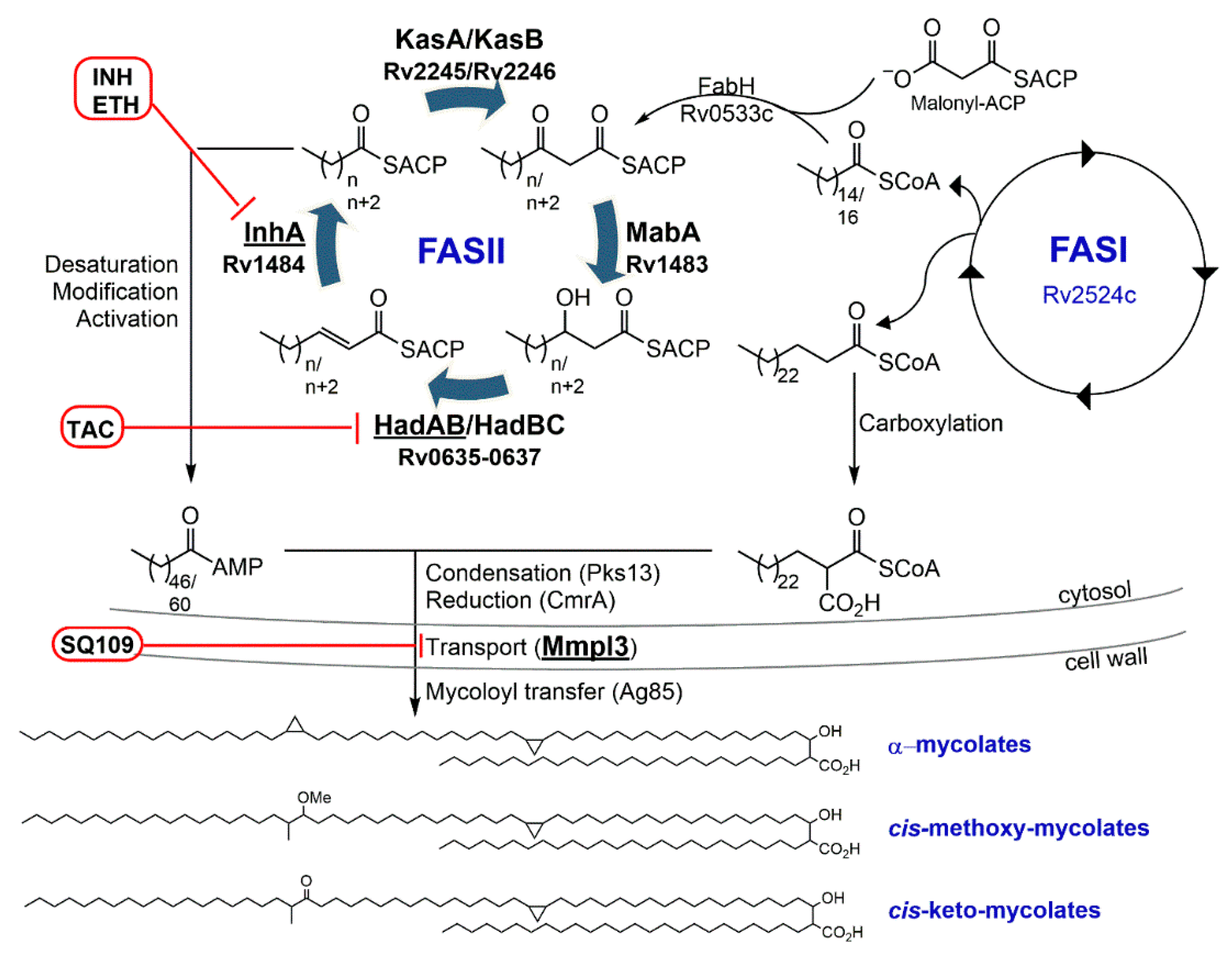 Applsci 10 02278 g002