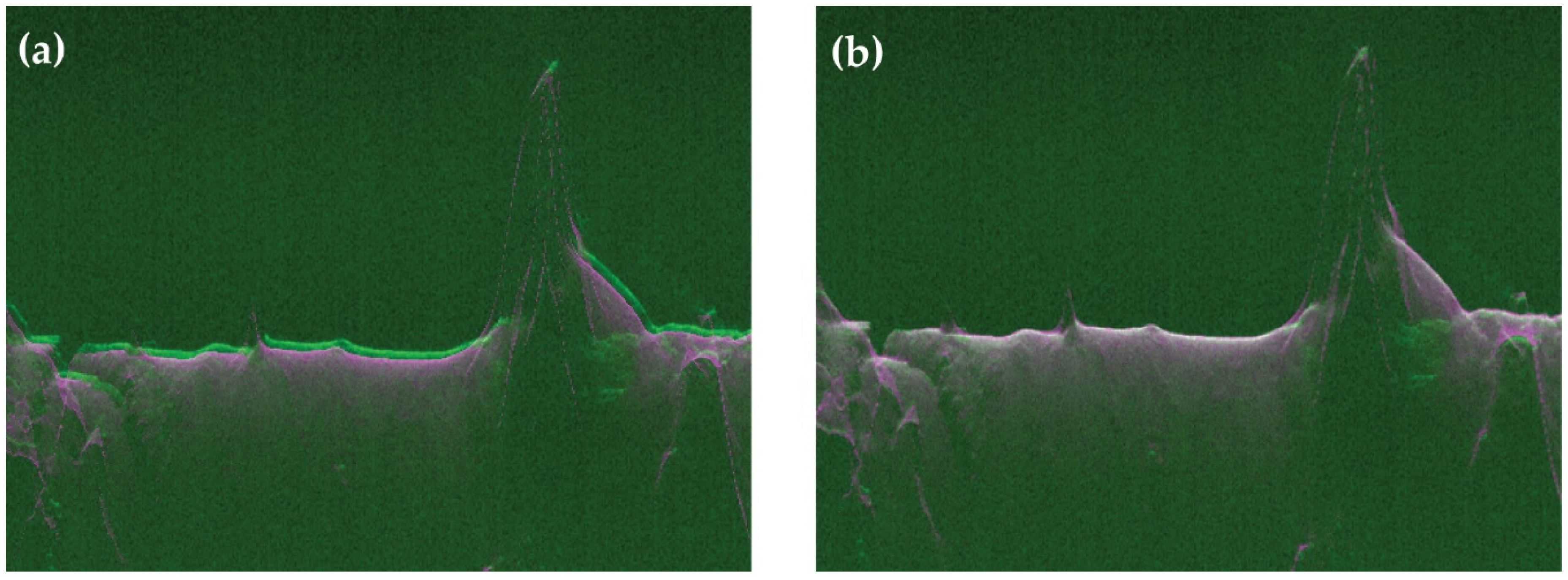 Applsci 10 02279 g005 Applsci 10 02279 g005