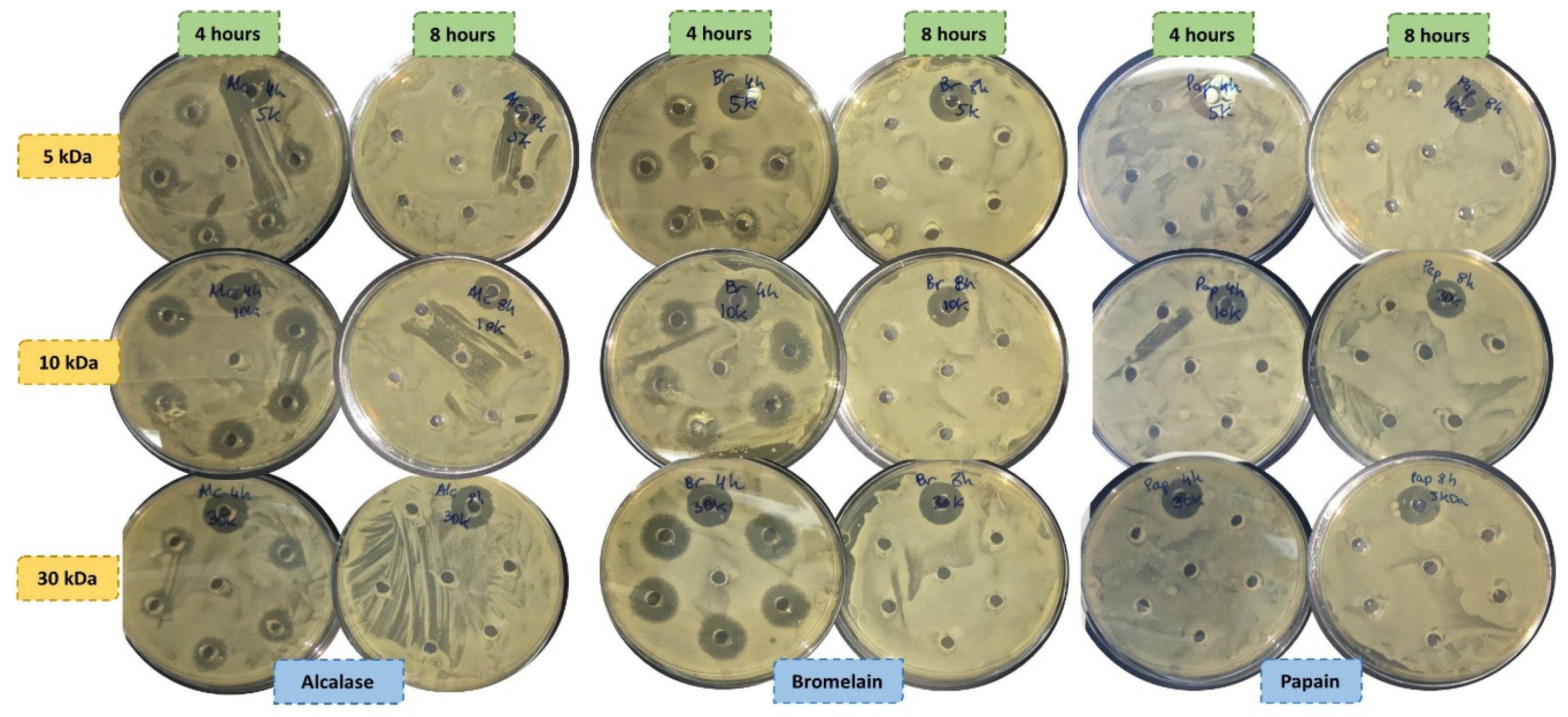 Applsci 10 02290 g002 Applsci 10 02290 g002