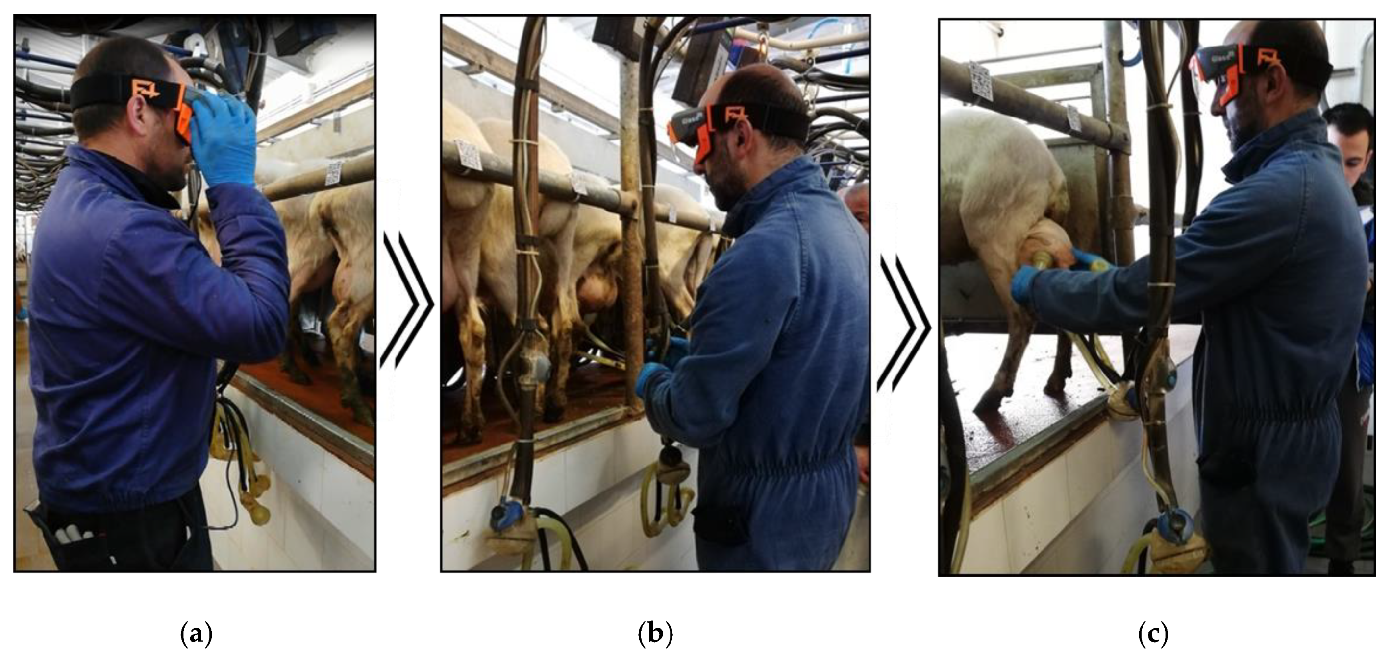 Applsci 10 02318 g003