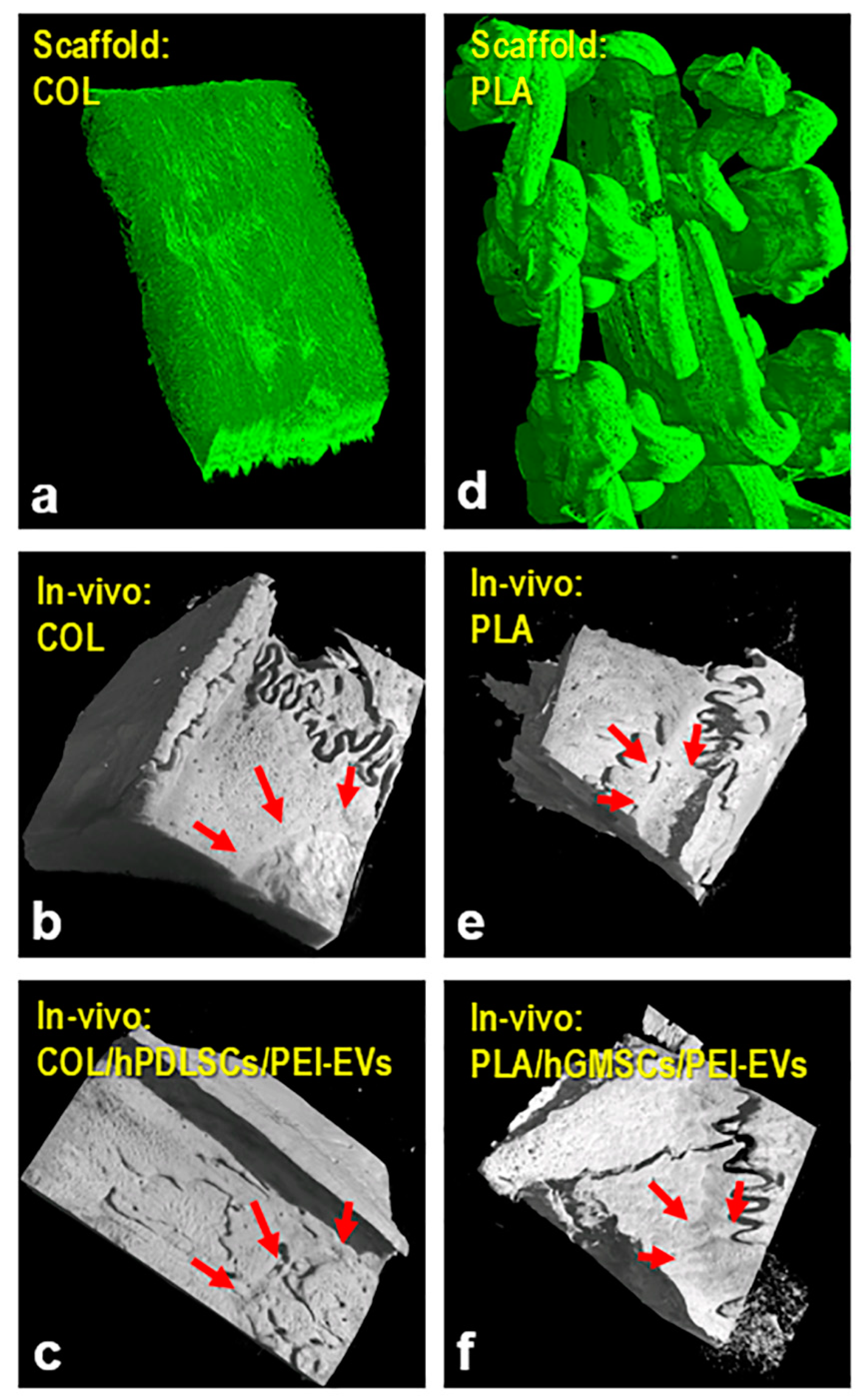 Applsci 10 02336 g001 Applsci 10 02336 g001