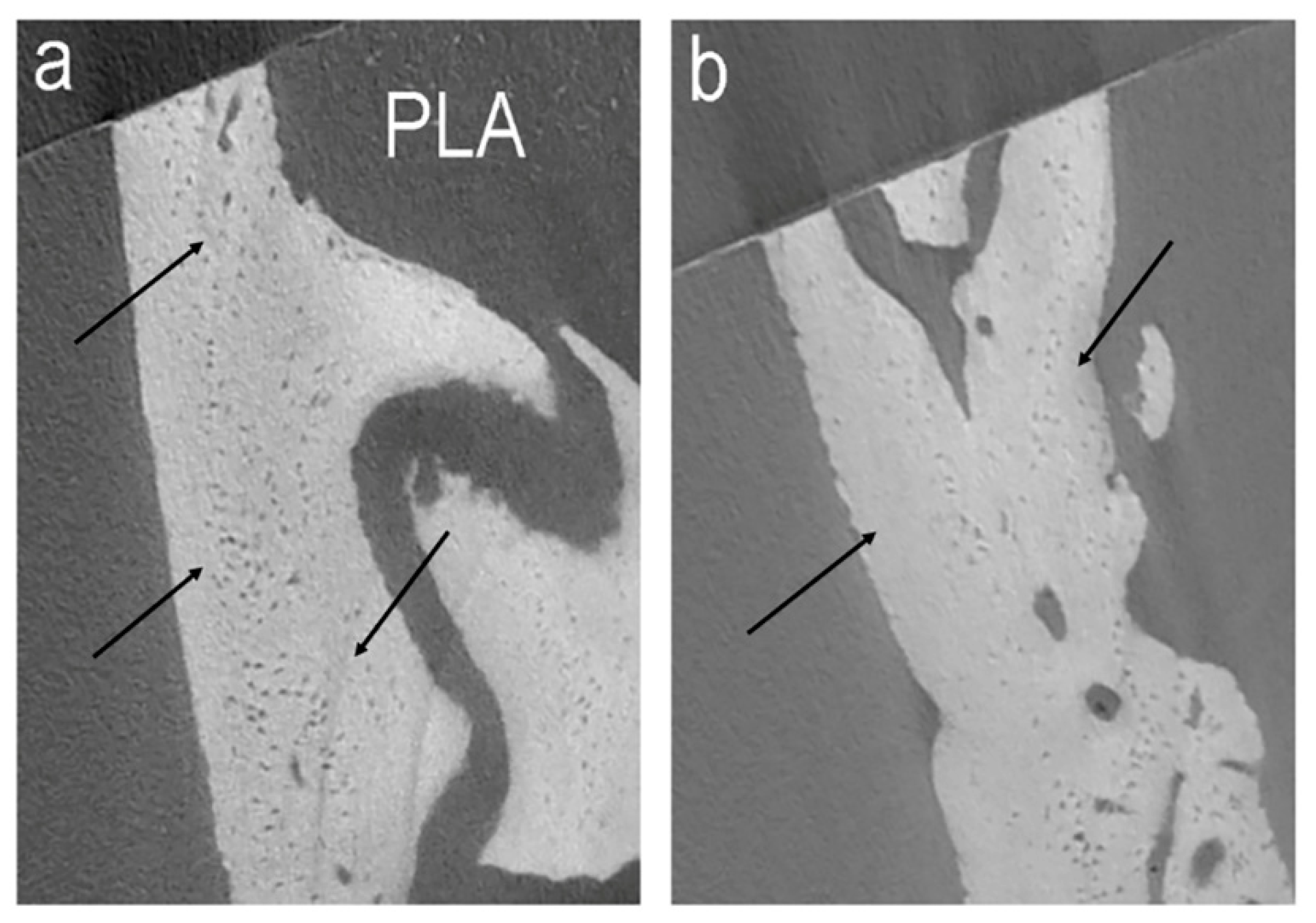Applsci 10 02336 g003 Applsci 10 02336 g003