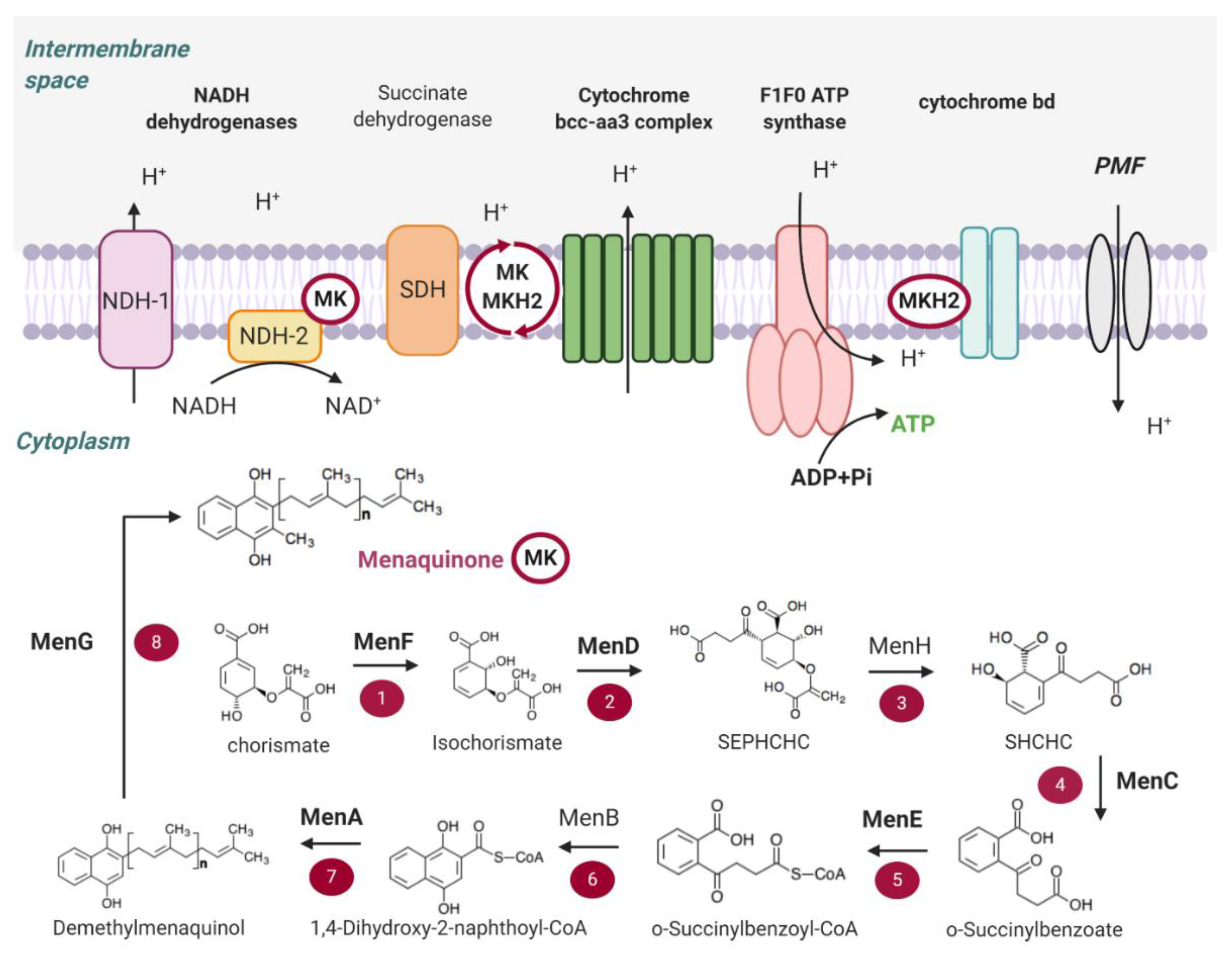 Applsci 10 02339 g001 Applsci 10 02339 g001