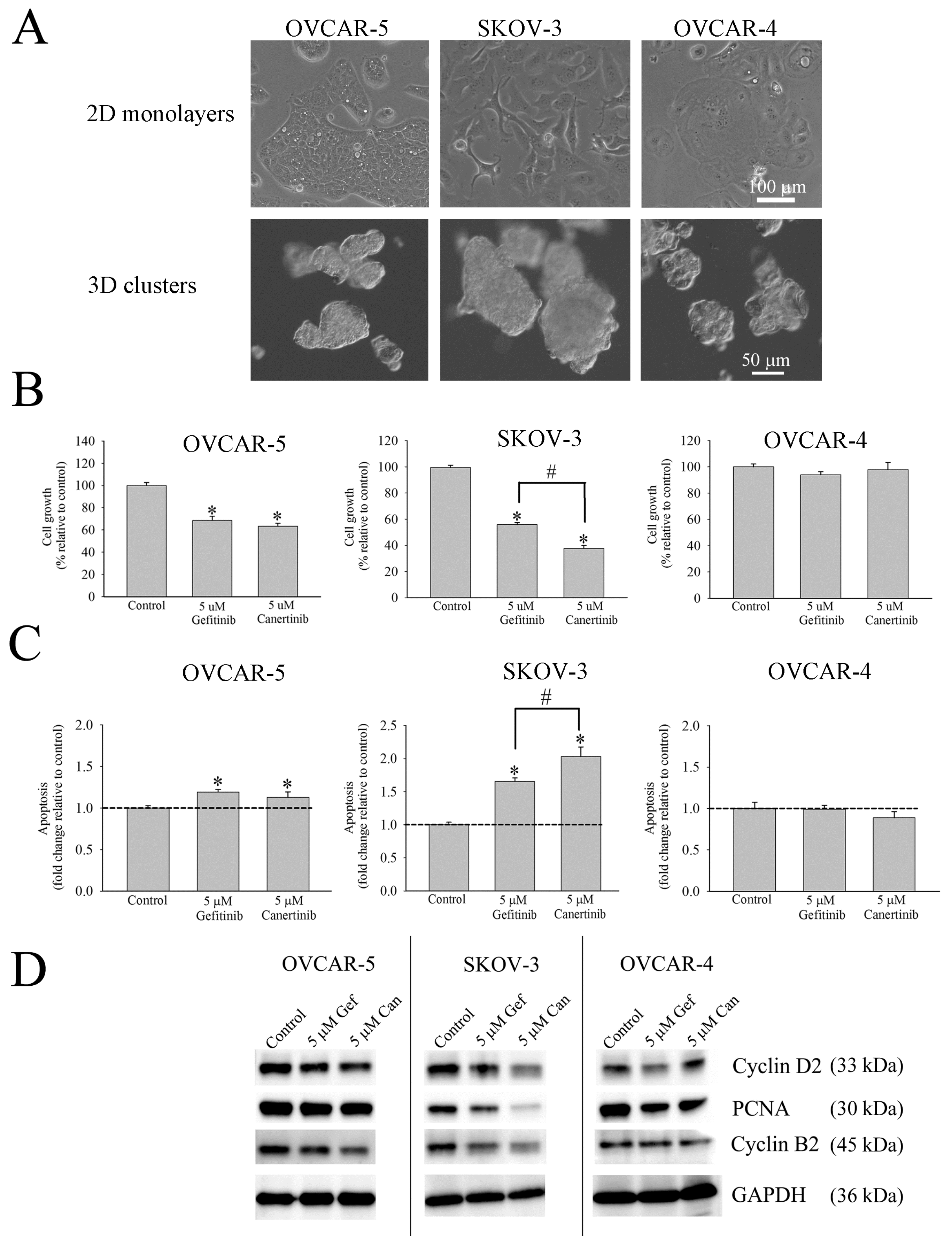 Applsci 10 02343 g001