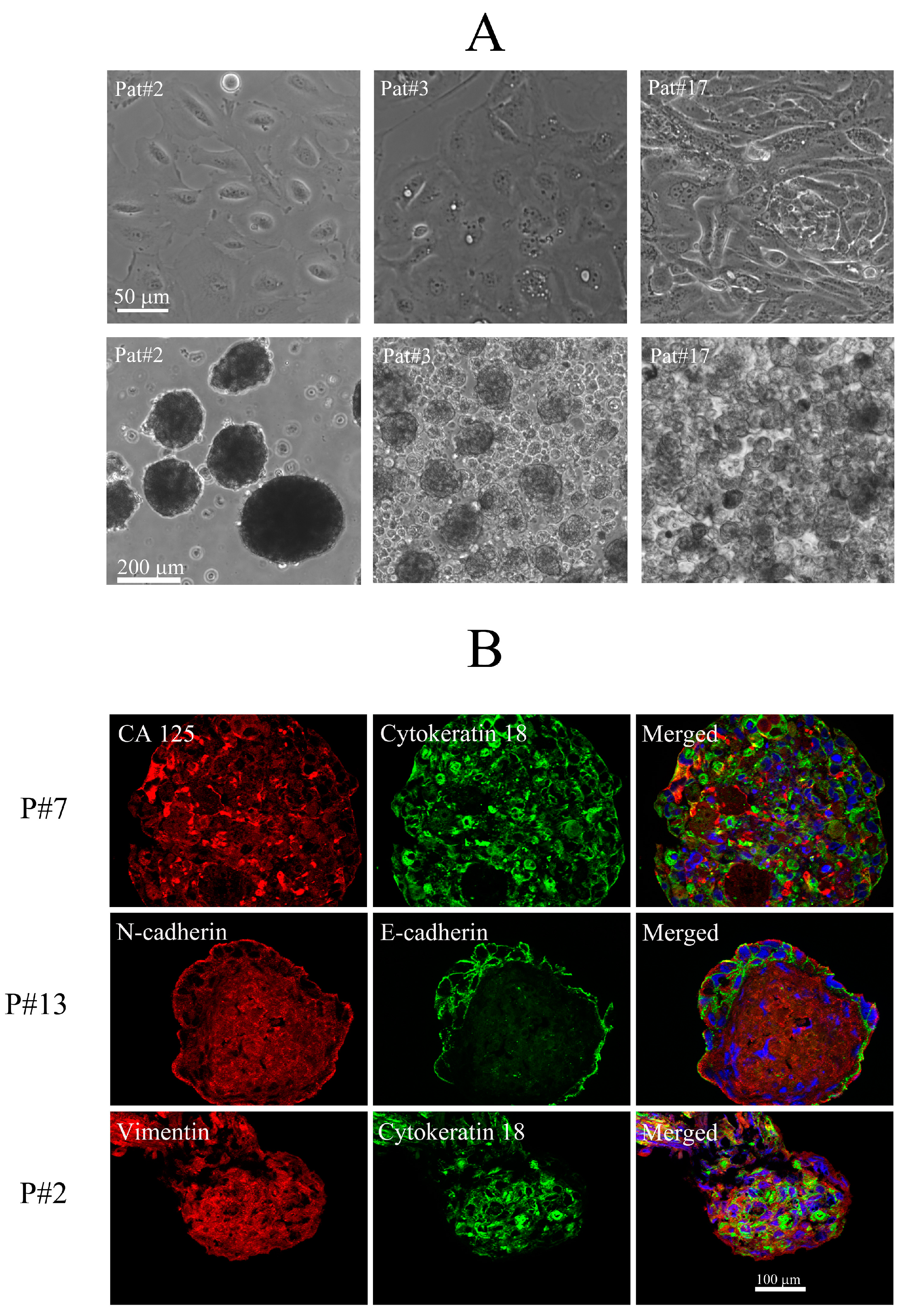 Applsci 10 02343 g004