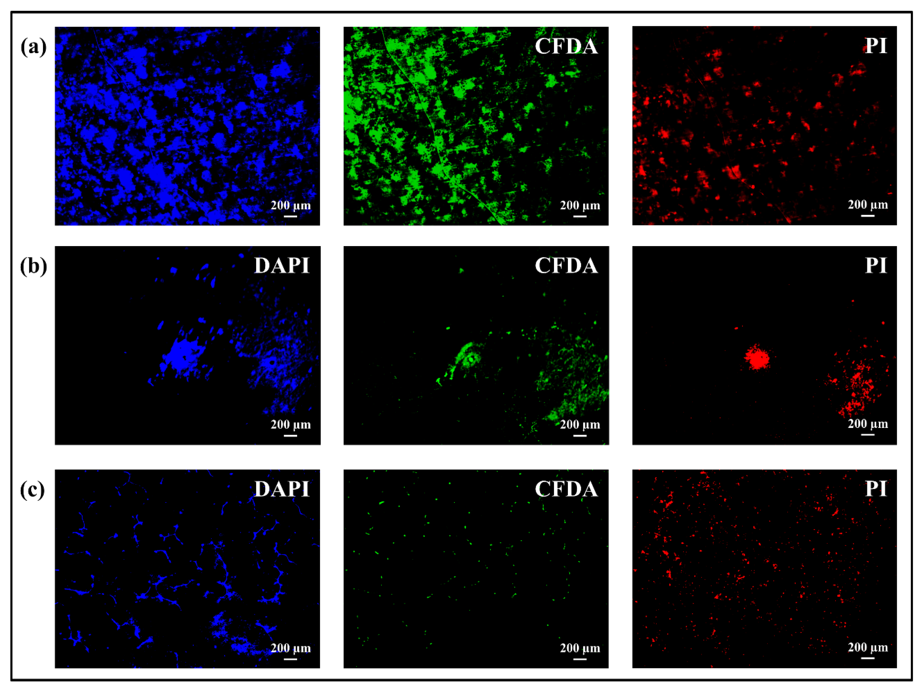 Applsci 10 02360 g011 Applsci 10 02360 g011