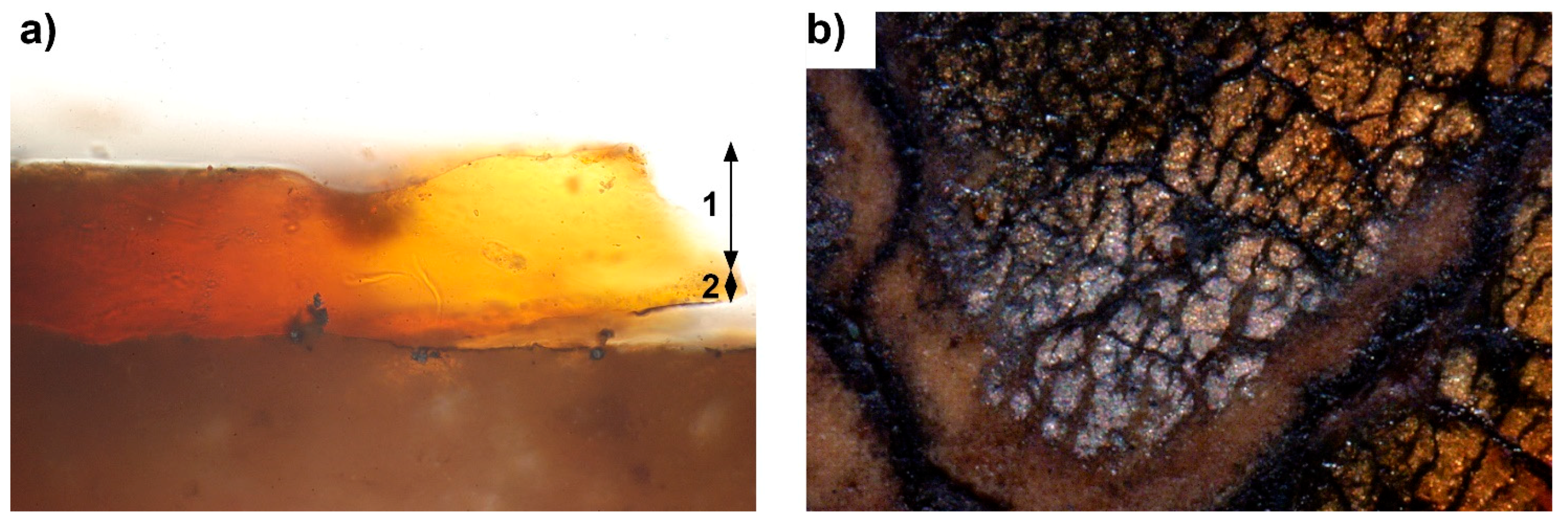 Applsci 10 02404 g003