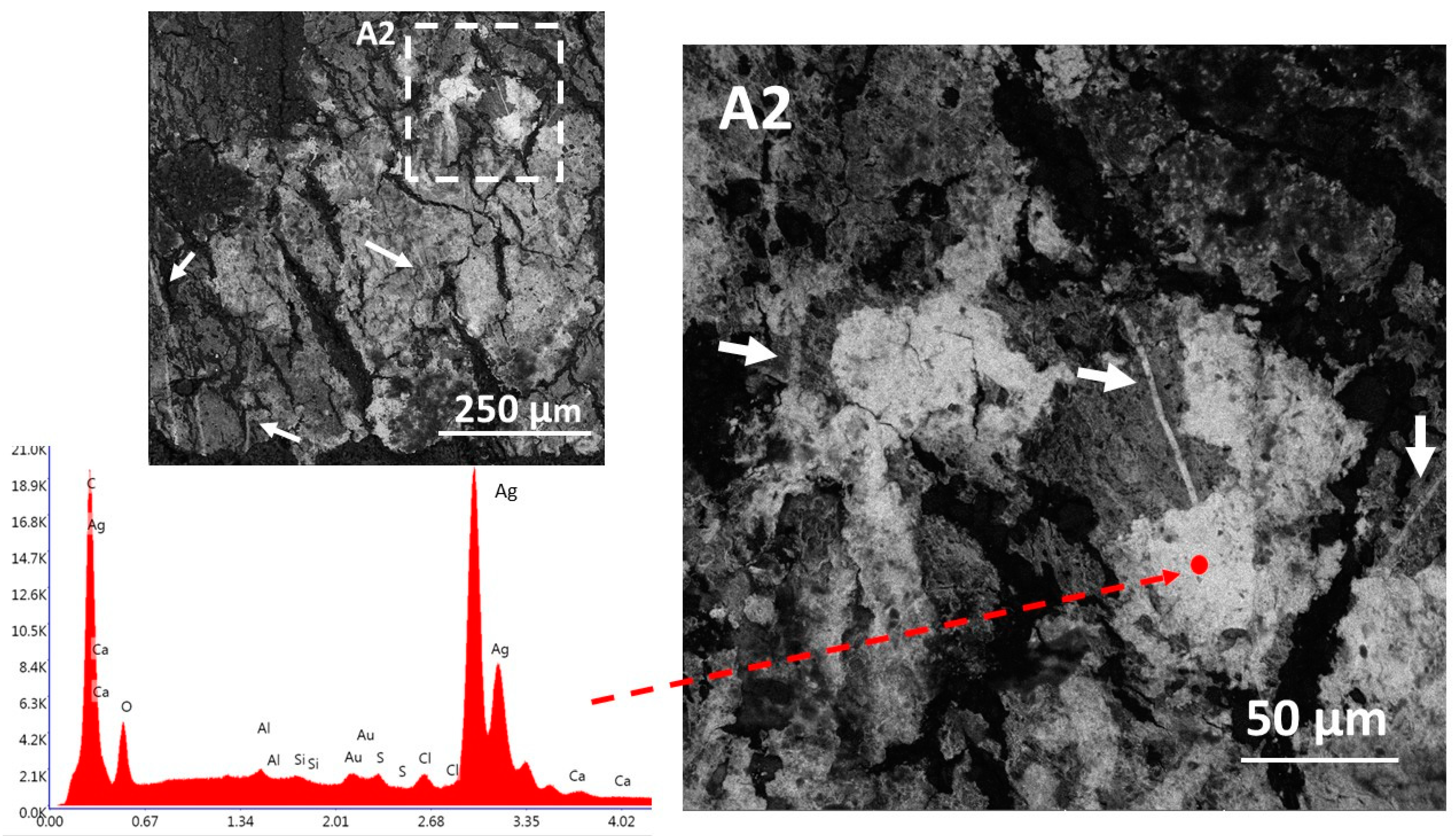 Applsci 10 02404 g007