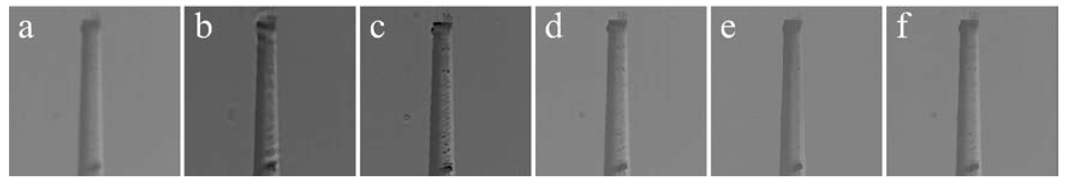 Applsci 10 02437 g011