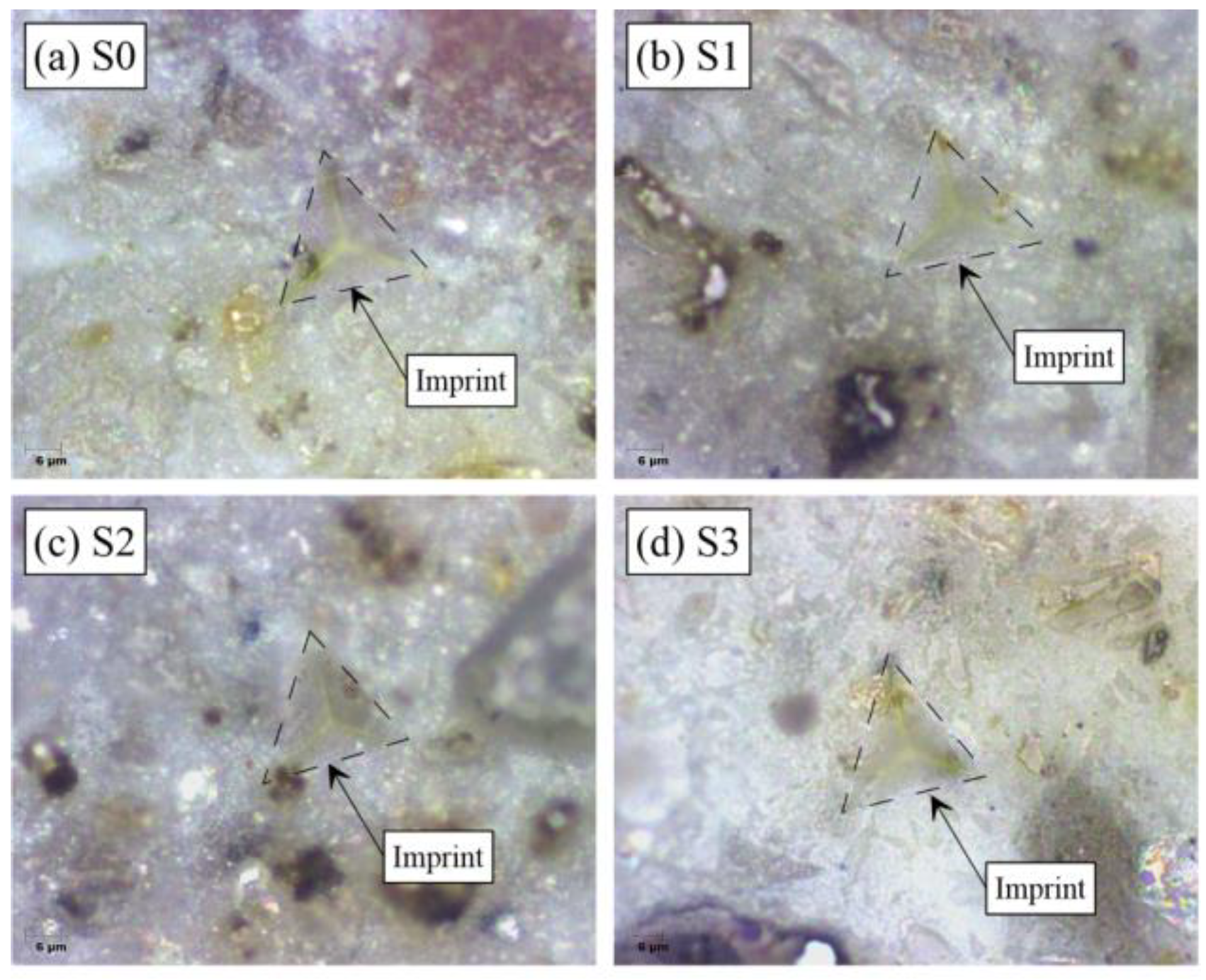 Applsci 10 02442 g007