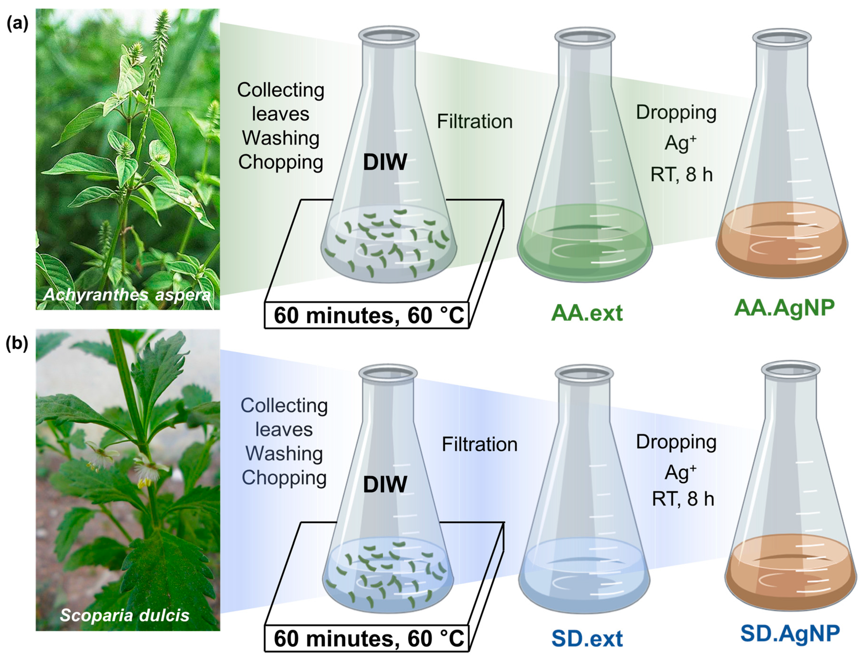 Applsci 10 02505 g001 Applsci 10 02505 g001