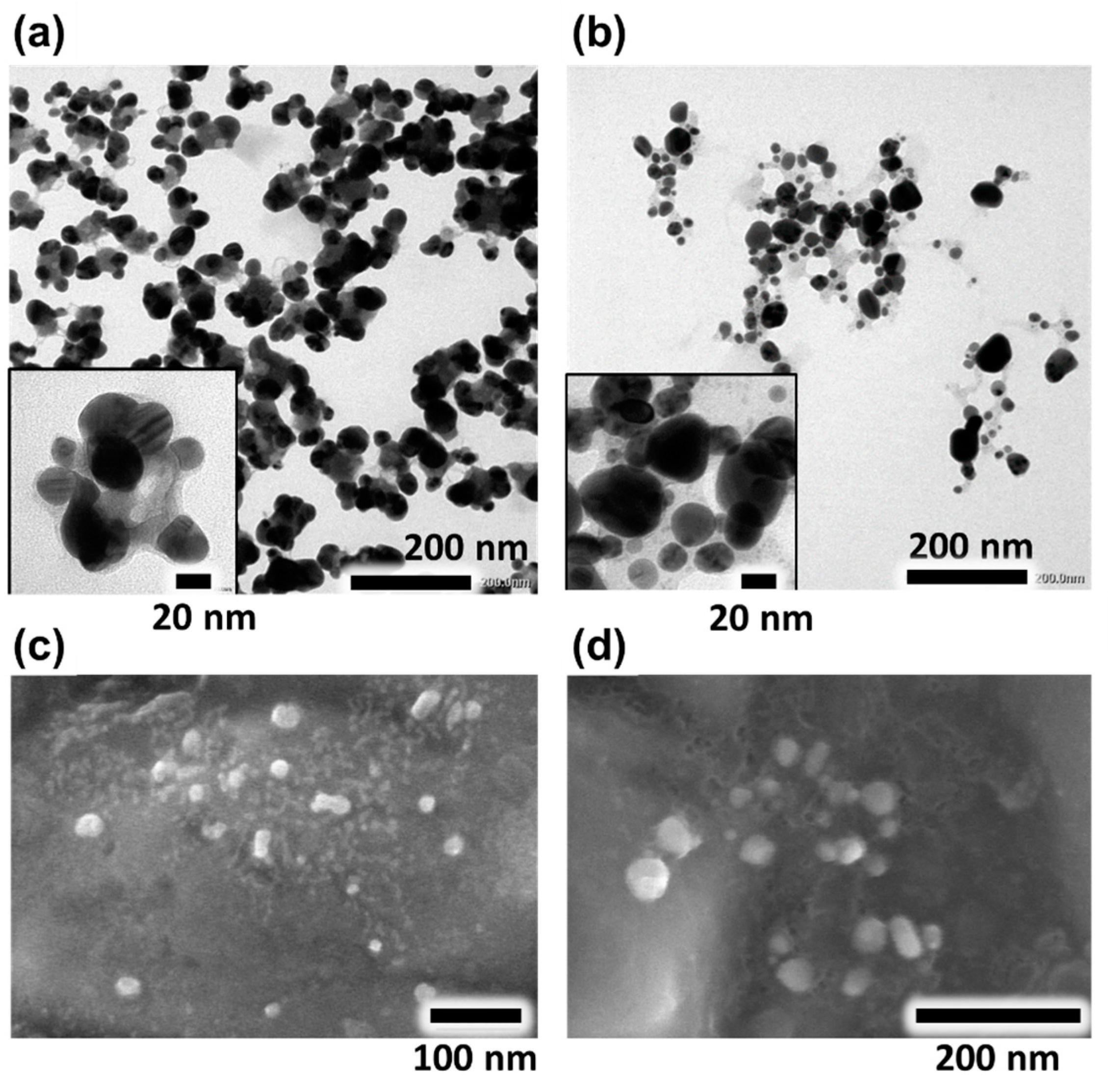 Applsci 10 02505 g004 Applsci 10 02505 g004