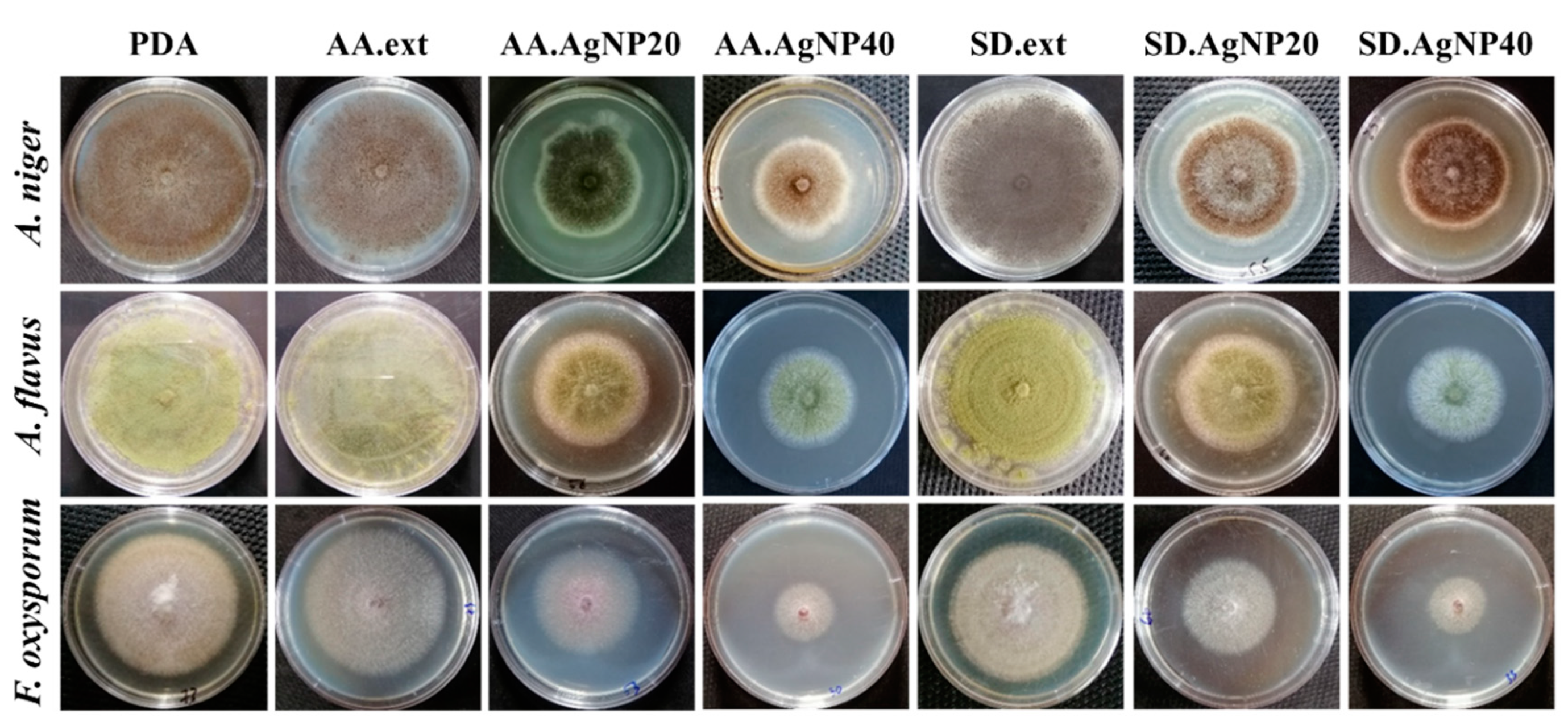 Applsci 10 02505 g005 Applsci 10 02505 g005