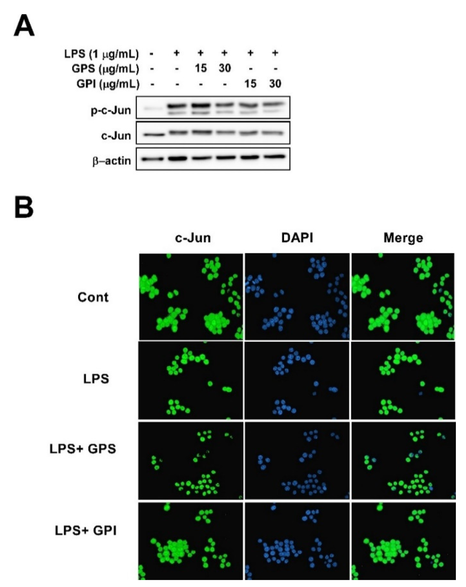 Applsci 10 02519 g004 Applsci 10 02519 g004