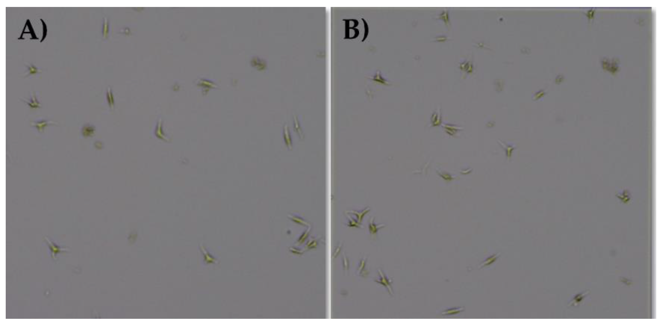 Applsci 10 02531 g0a2