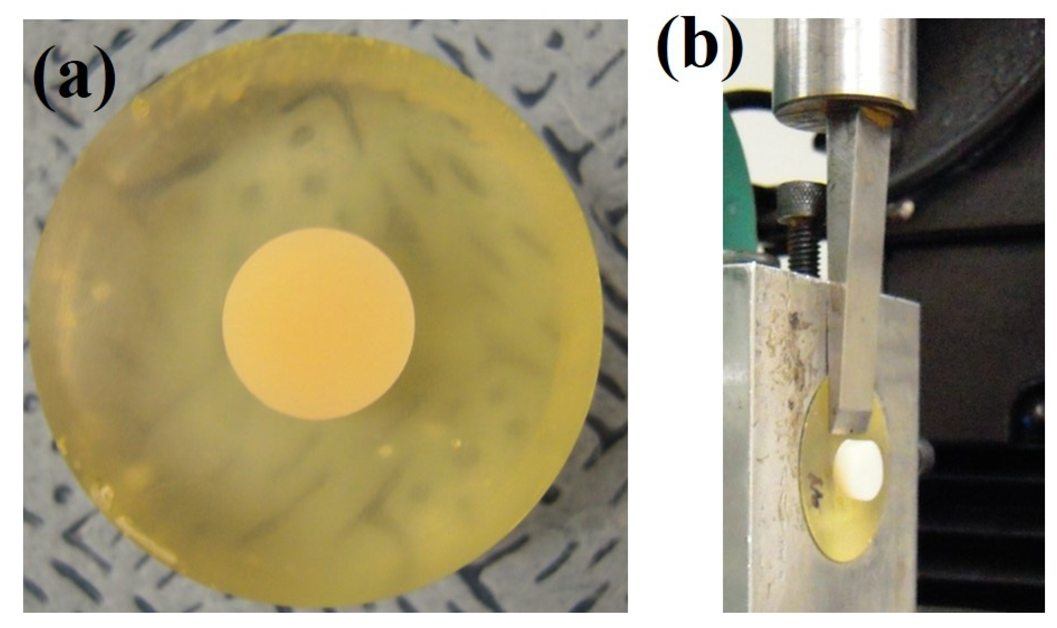 Applsci 10 02535 g002