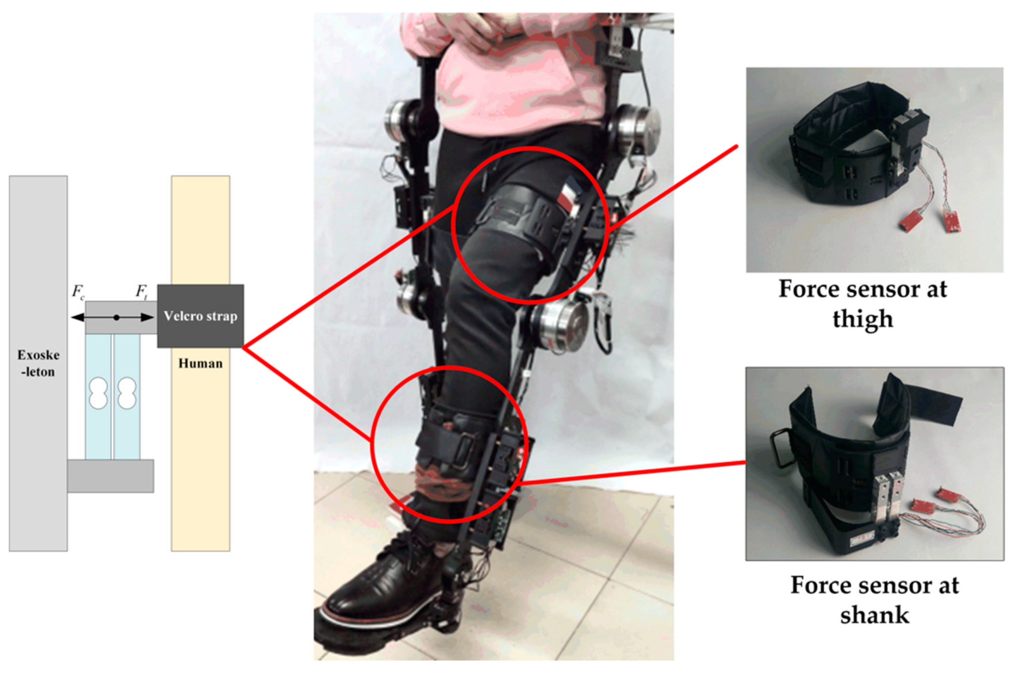 Applsci 10 02536 g002