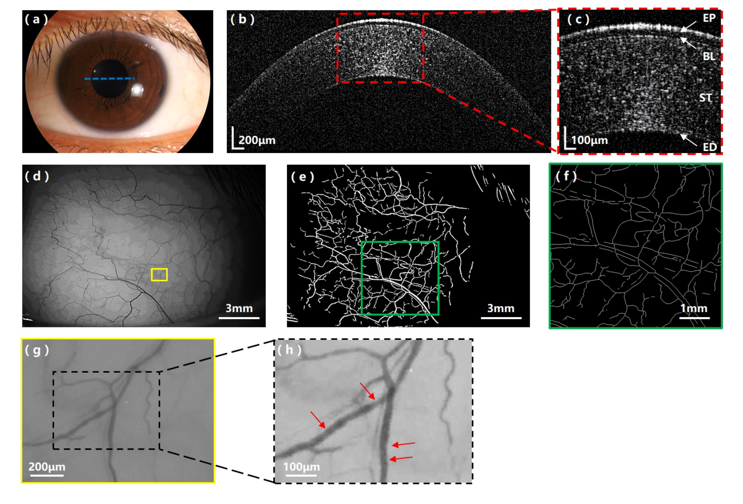 Applsci 10 02545 g003 Applsci 10 02545 g003