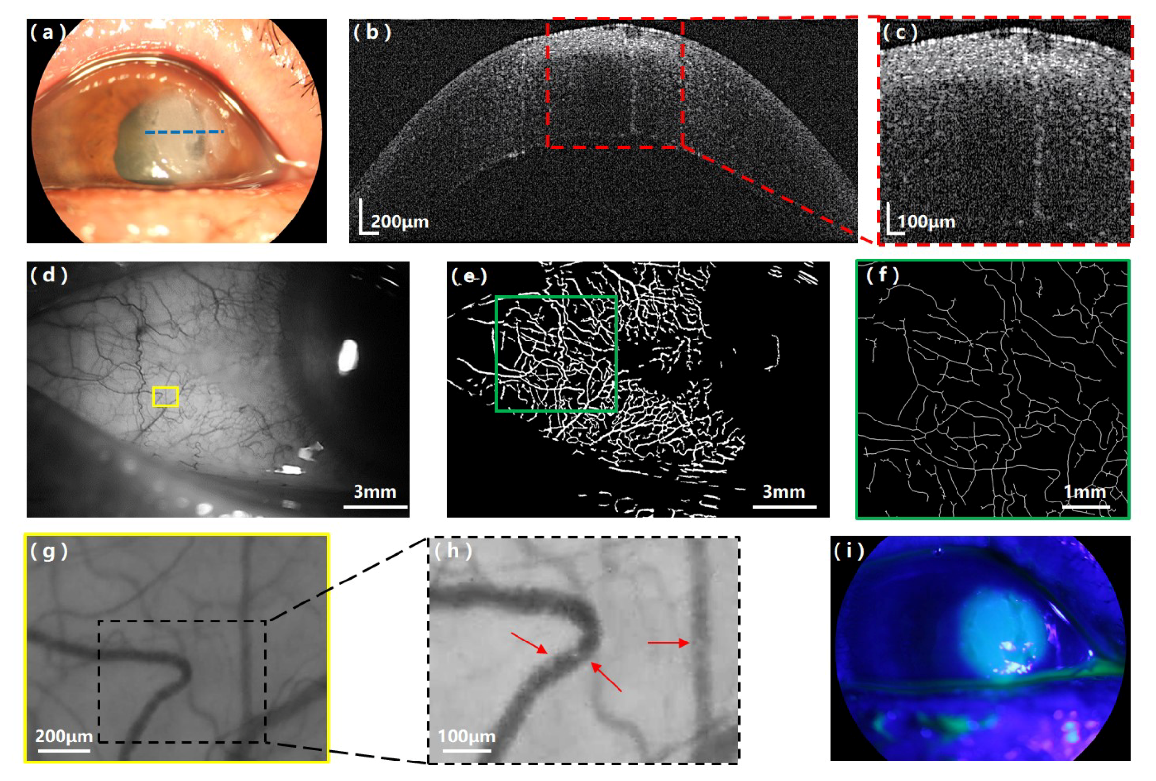 Applsci 10 02545 g004 Applsci 10 02545 g004