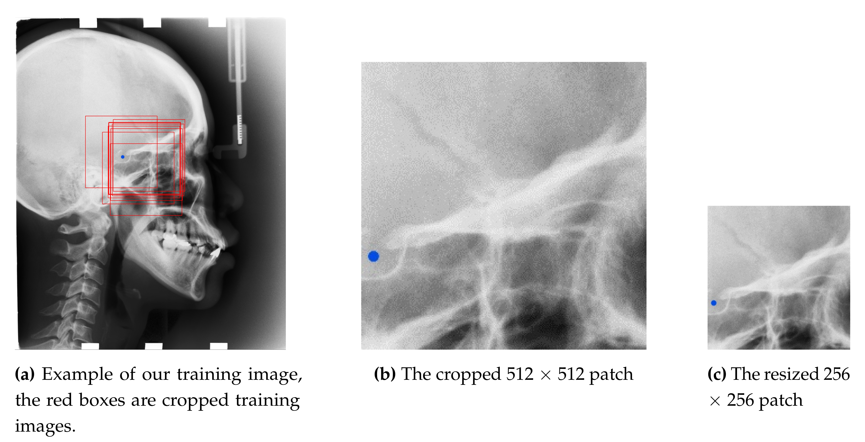 Applsci 10 02547 g003