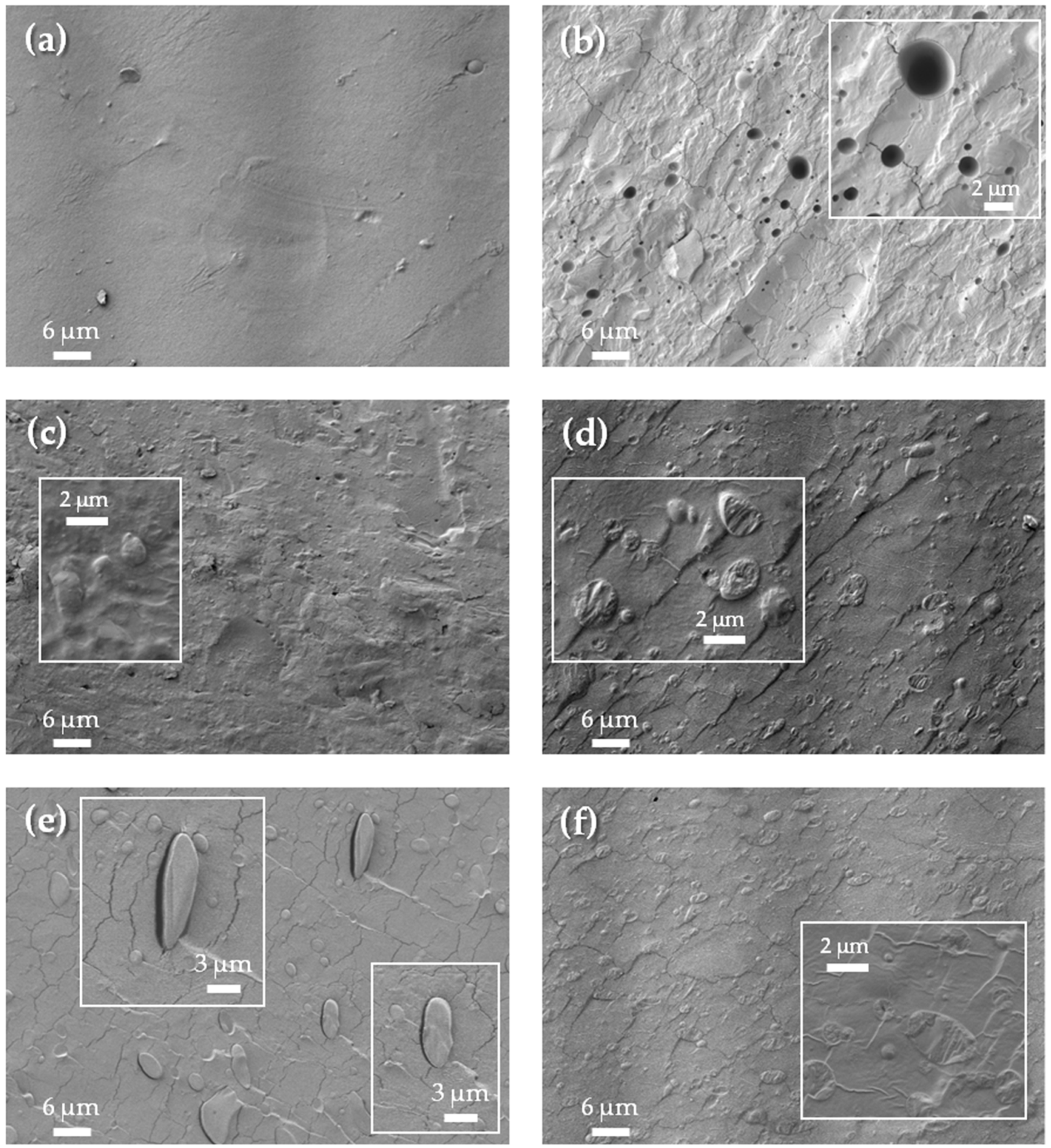 Applsci 10 02561 g008 Applsci 10 02561 g008