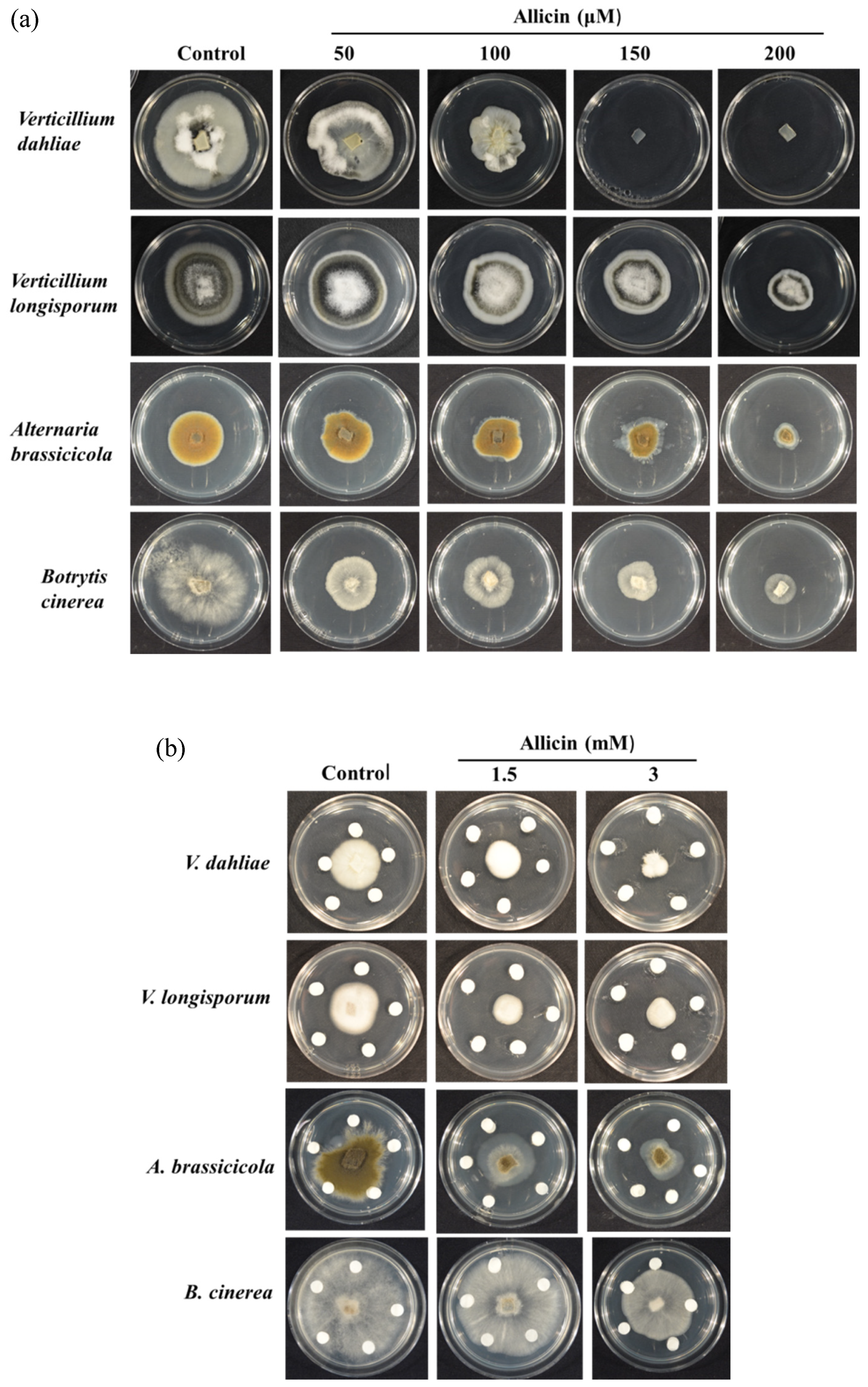 Applsci 10 02563 g002