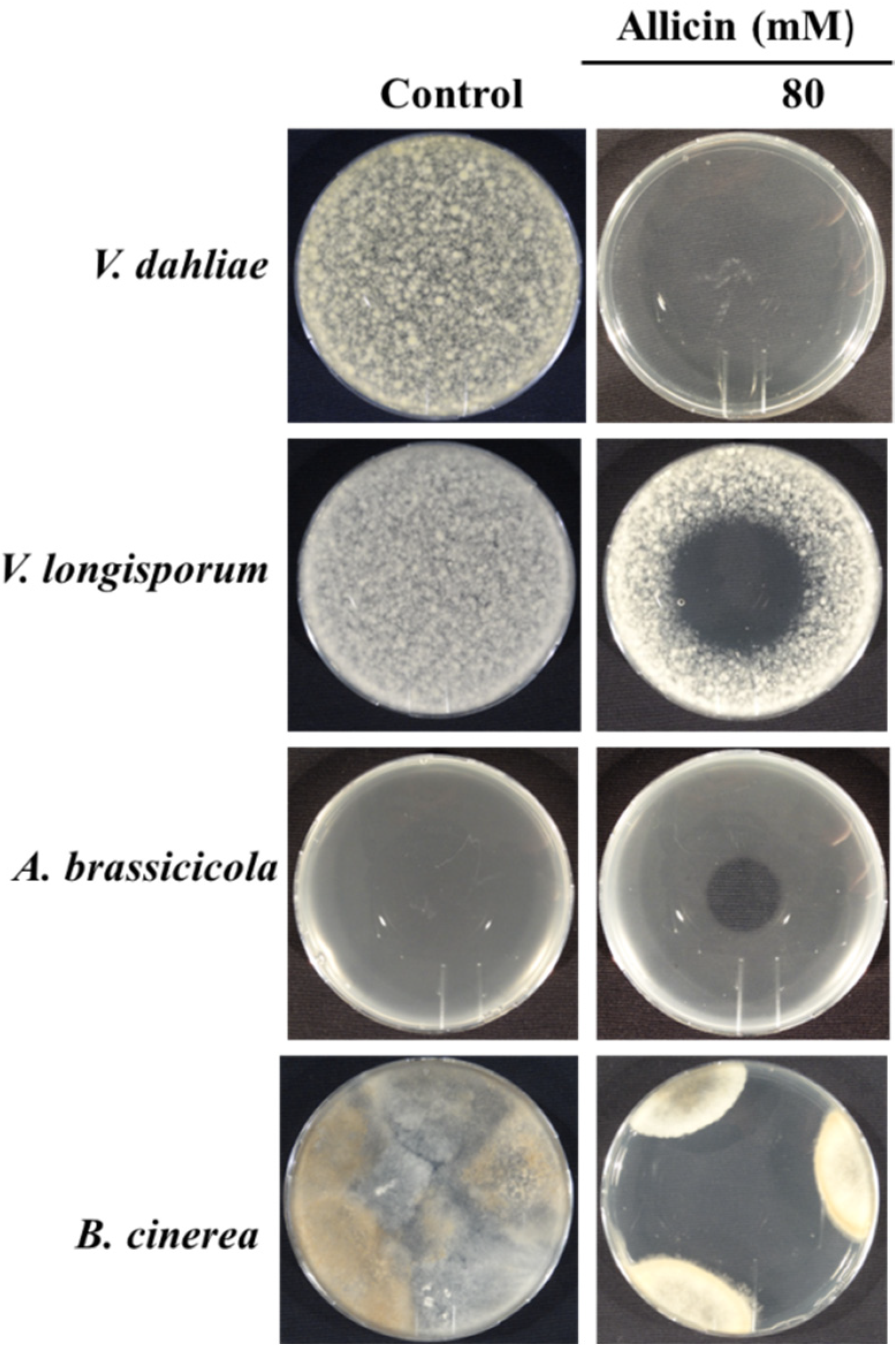 Applsci 10 02563 g004