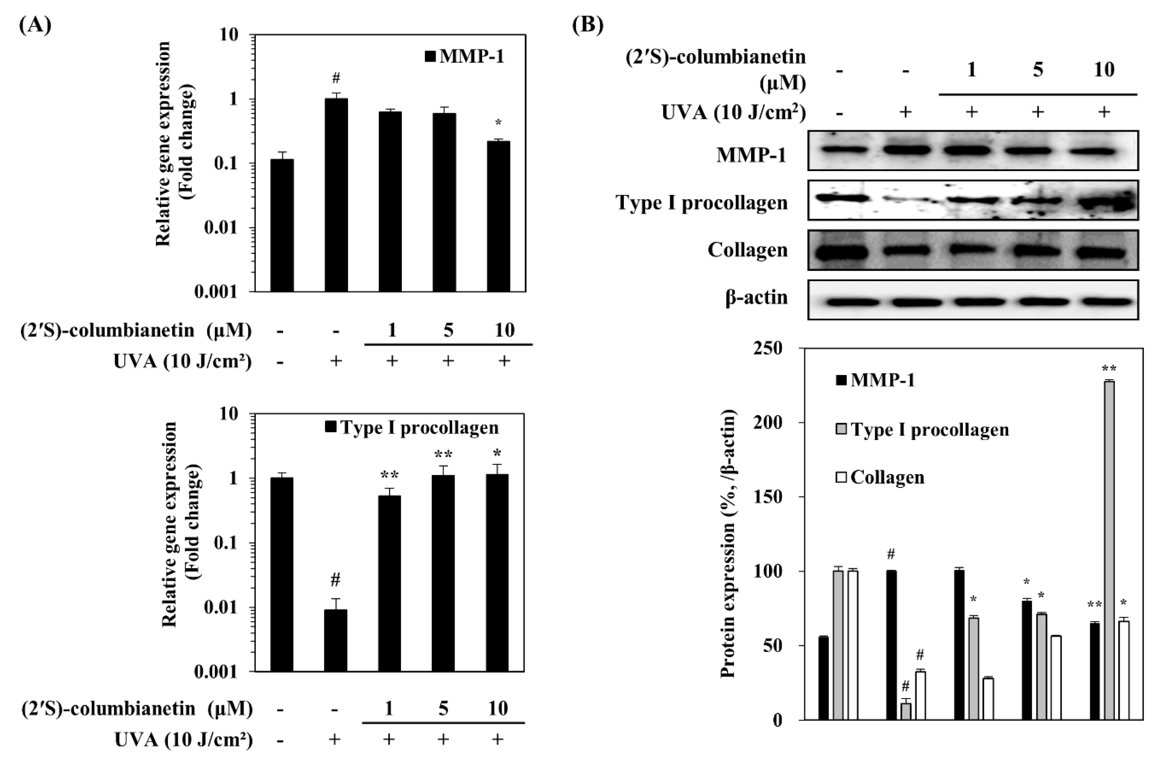 Applsci 10 02568 g004