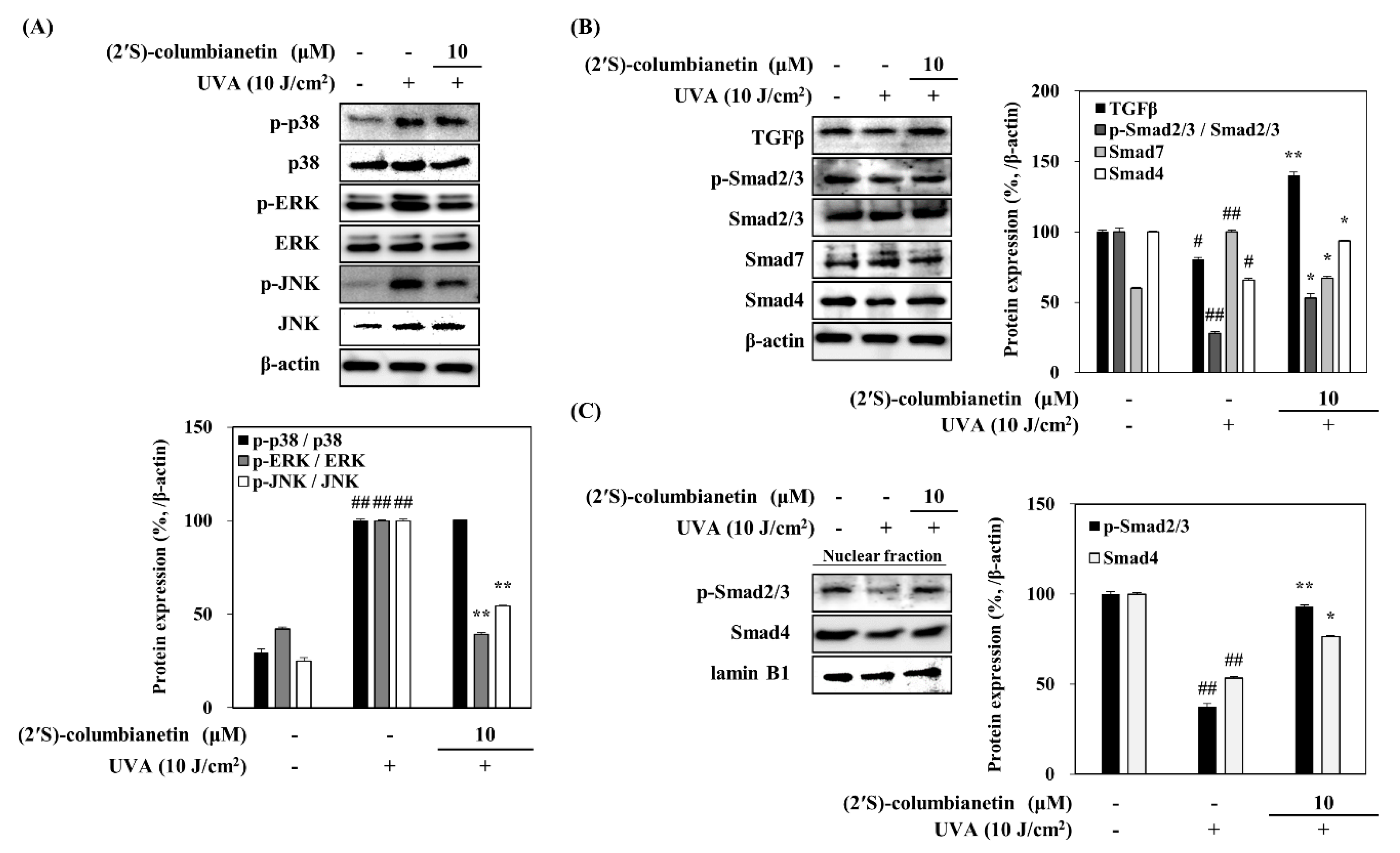 Applsci 10 02568 g005
