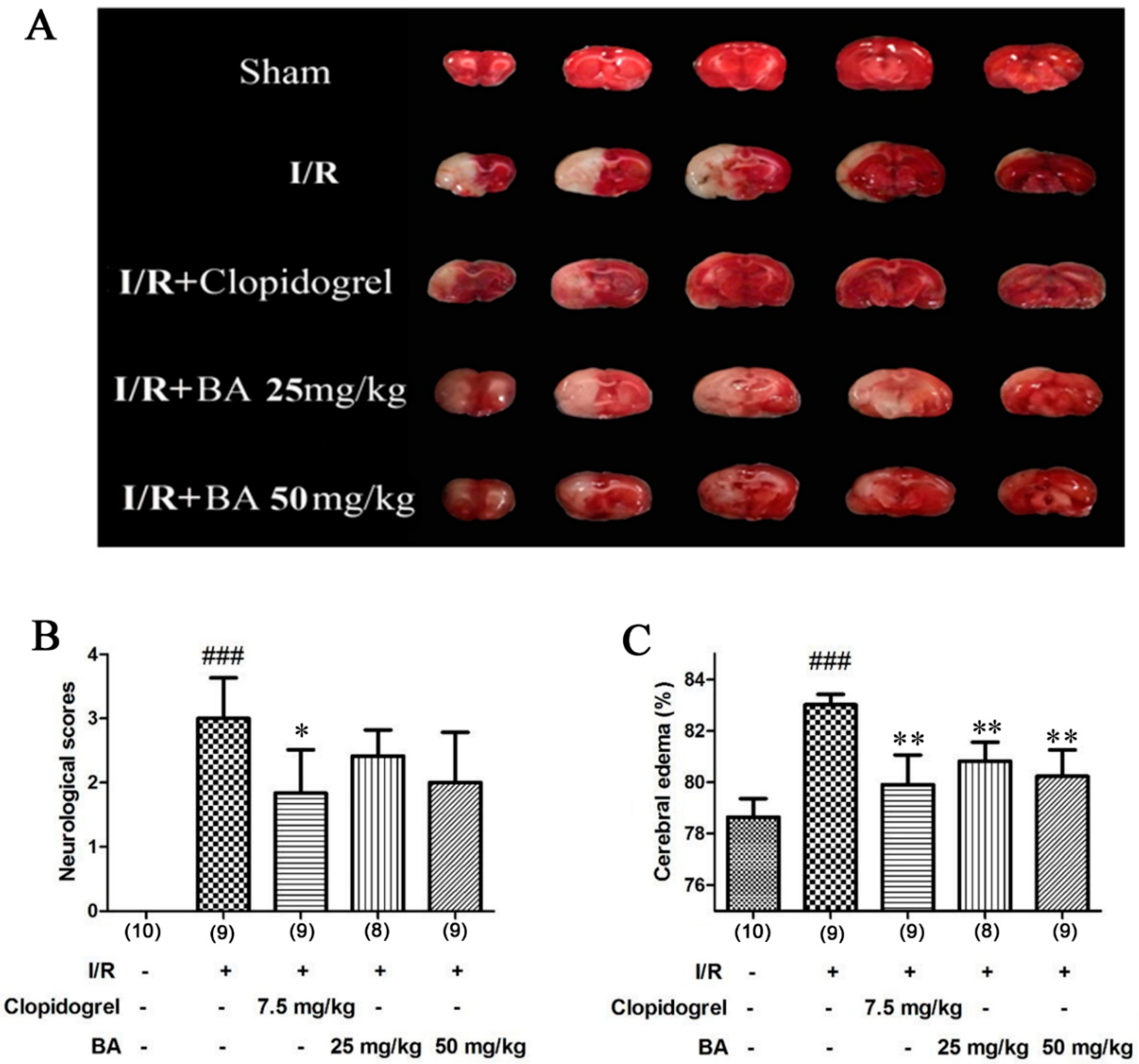 Applsci 10 02578 g002