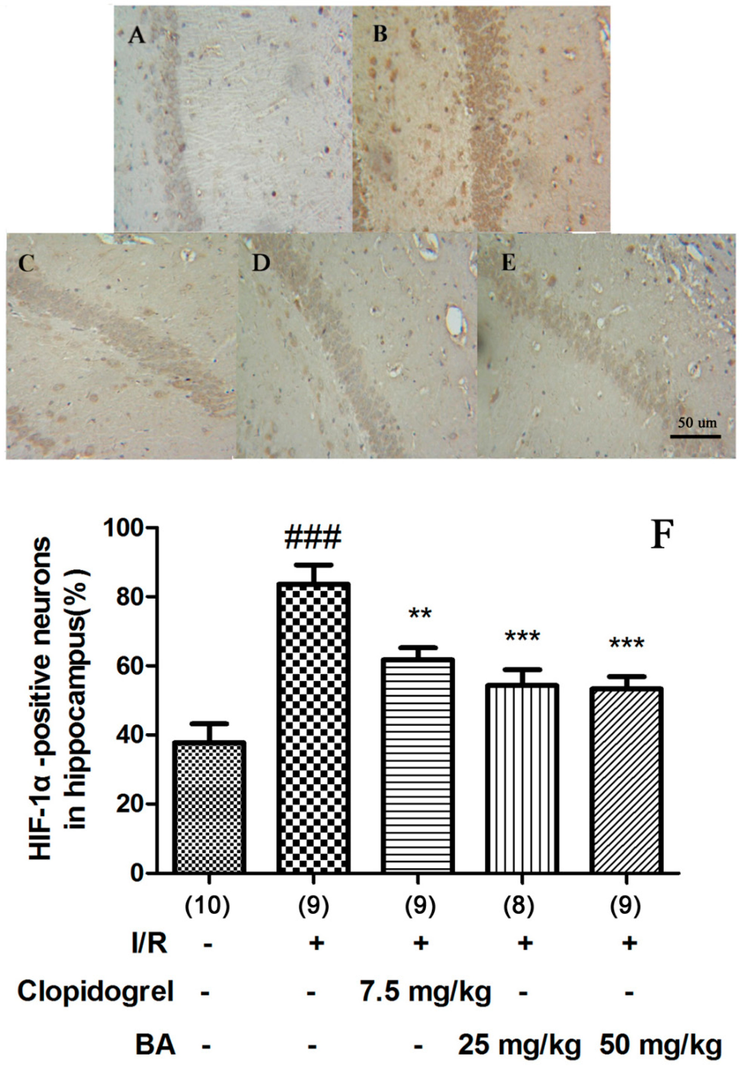 Applsci 10 02578 g006